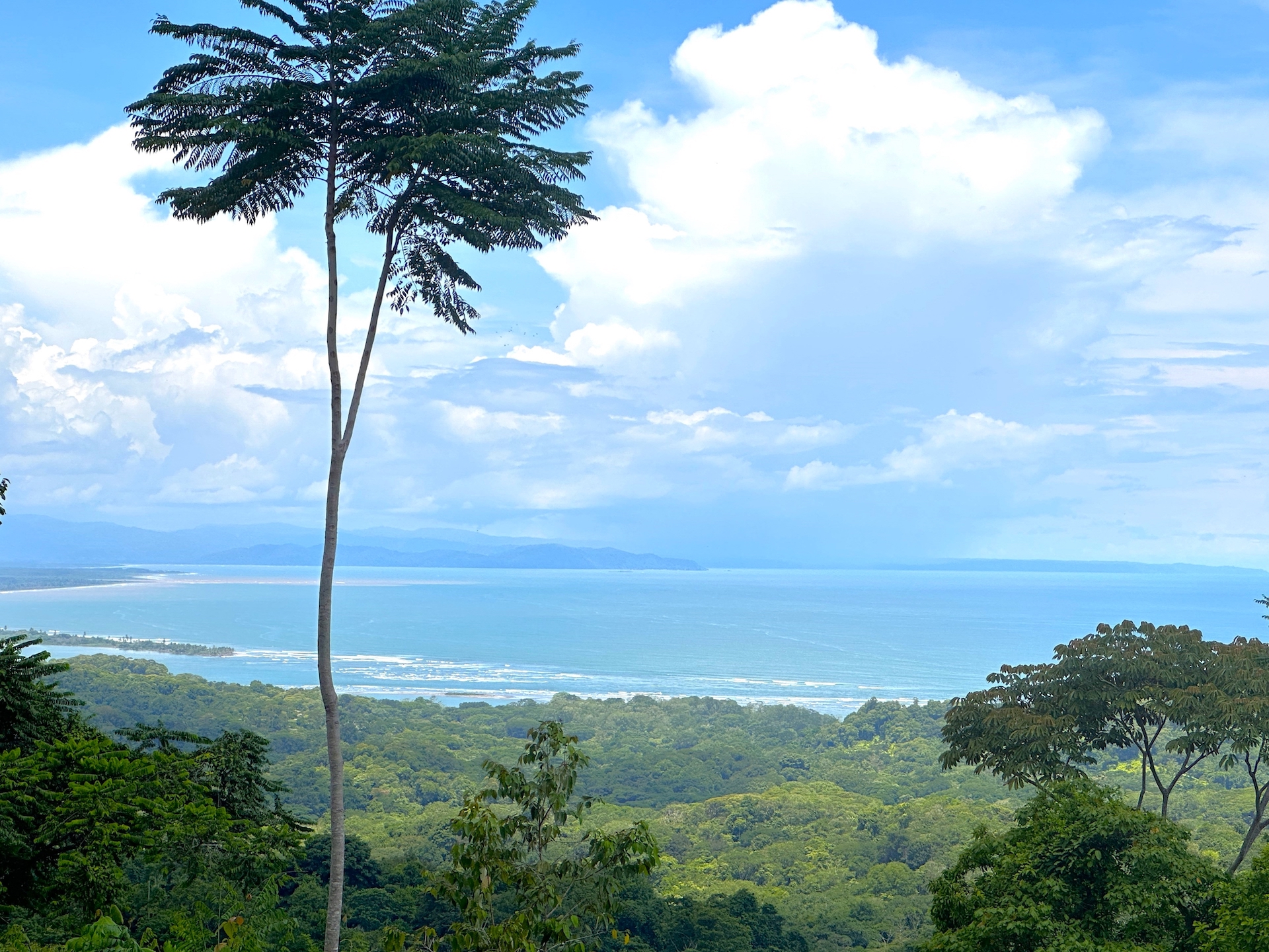 0 bed Land For Sale in Ojochal, Puntarenas - thumb 2