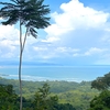  - 11.24 Acres with Two Stunning Ocean View Building Sites in Cinco Ventanas