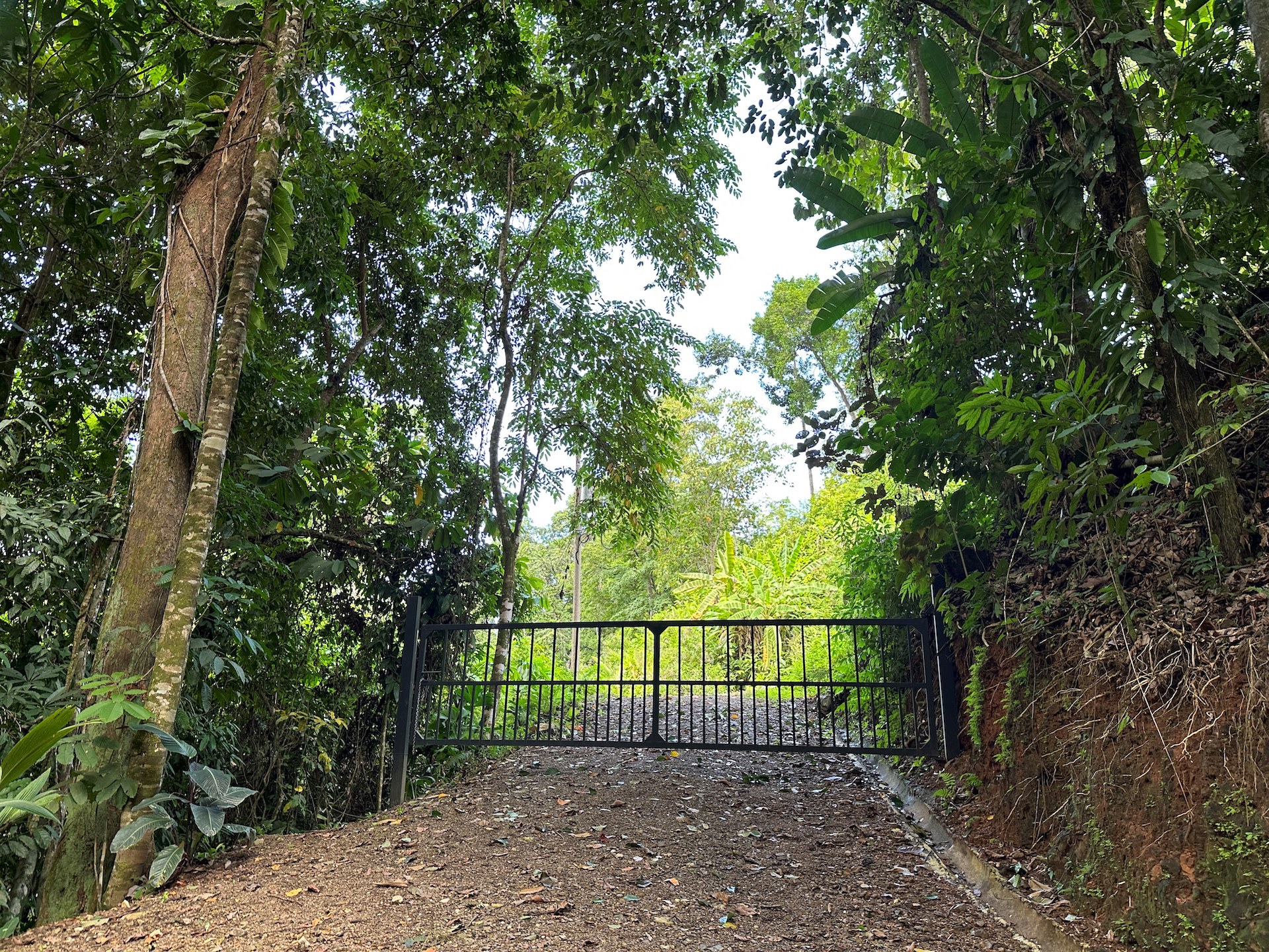 0 bed Land For Sale in Ojochal, Puntarenas - thumb 17