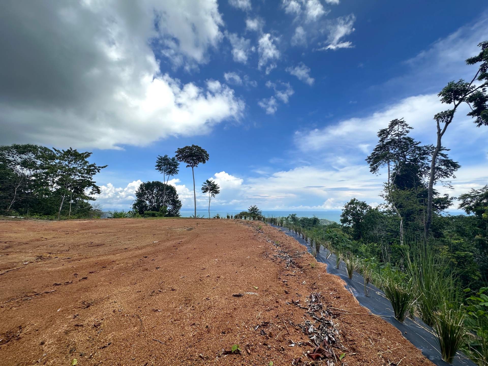 0 bed Land For Sale in Ojochal, Puntarenas - thumb 10