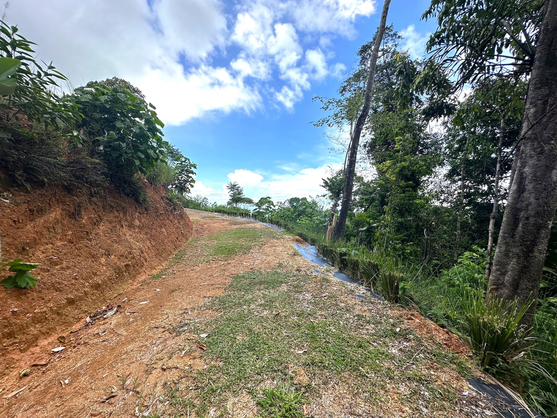 0 bed Land For Sale in Ojochal, Puntarenas - thumb 6