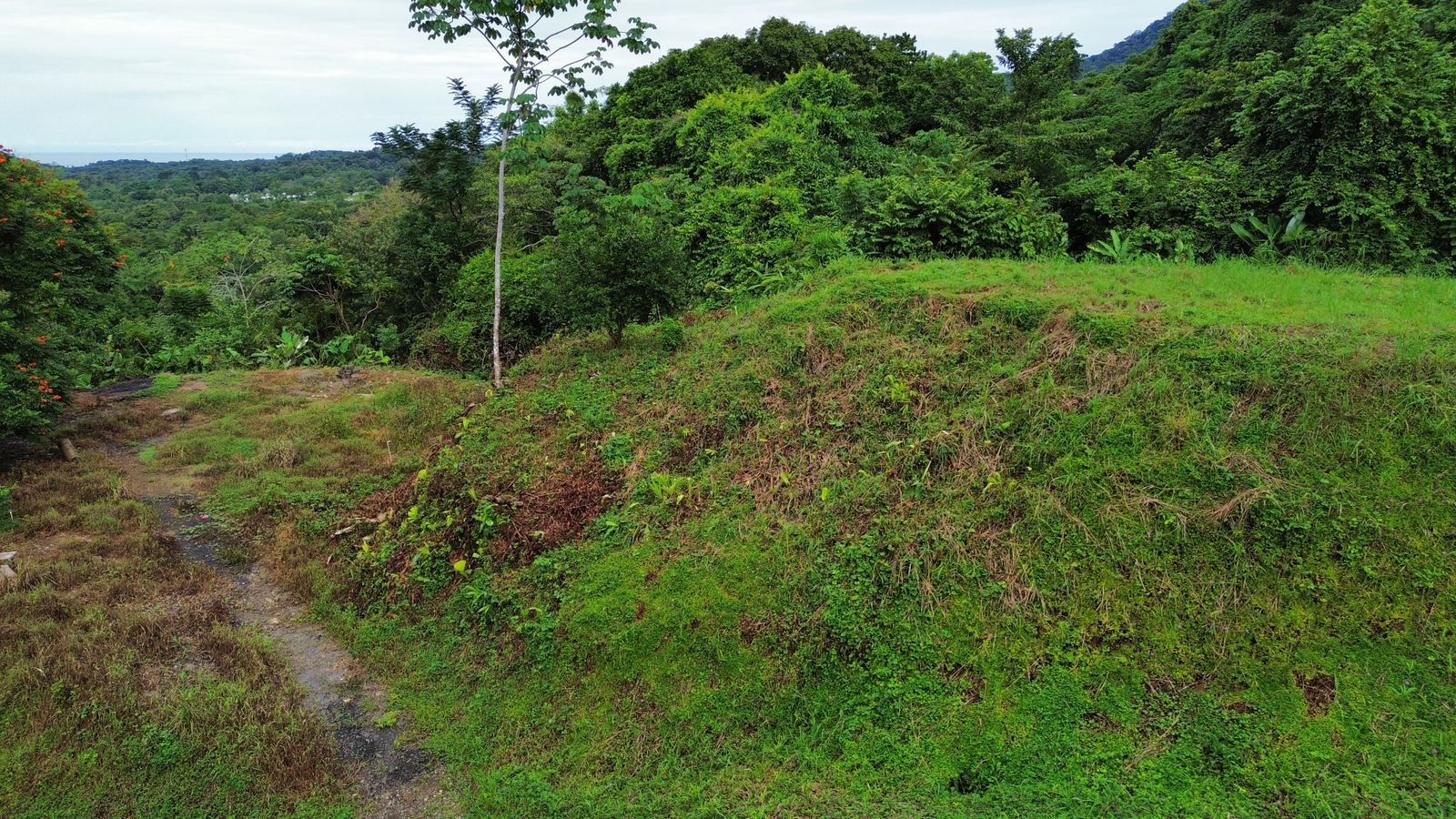 0 bed Land For Sale in Ojochal, Puntarenas - thumb 19