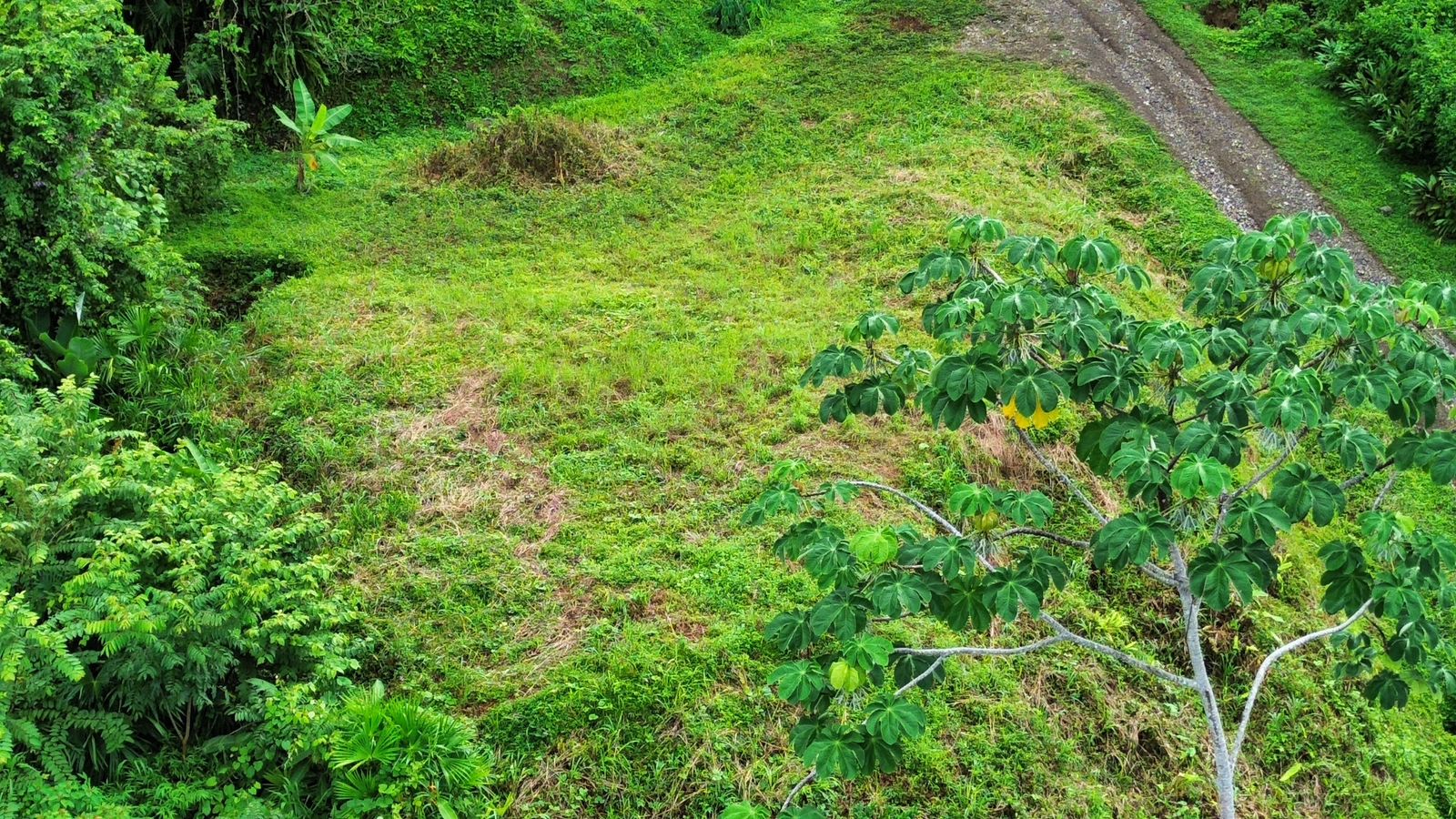 0 bed Land For Sale in Ojochal, Puntarenas - thumb 17