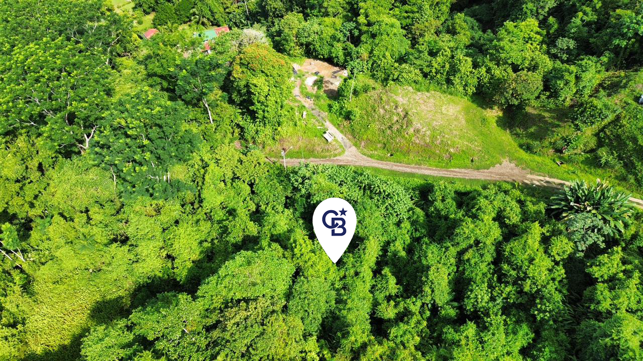 0 bed Land For Sale in Ojochal, Puntarenas - thumb 4