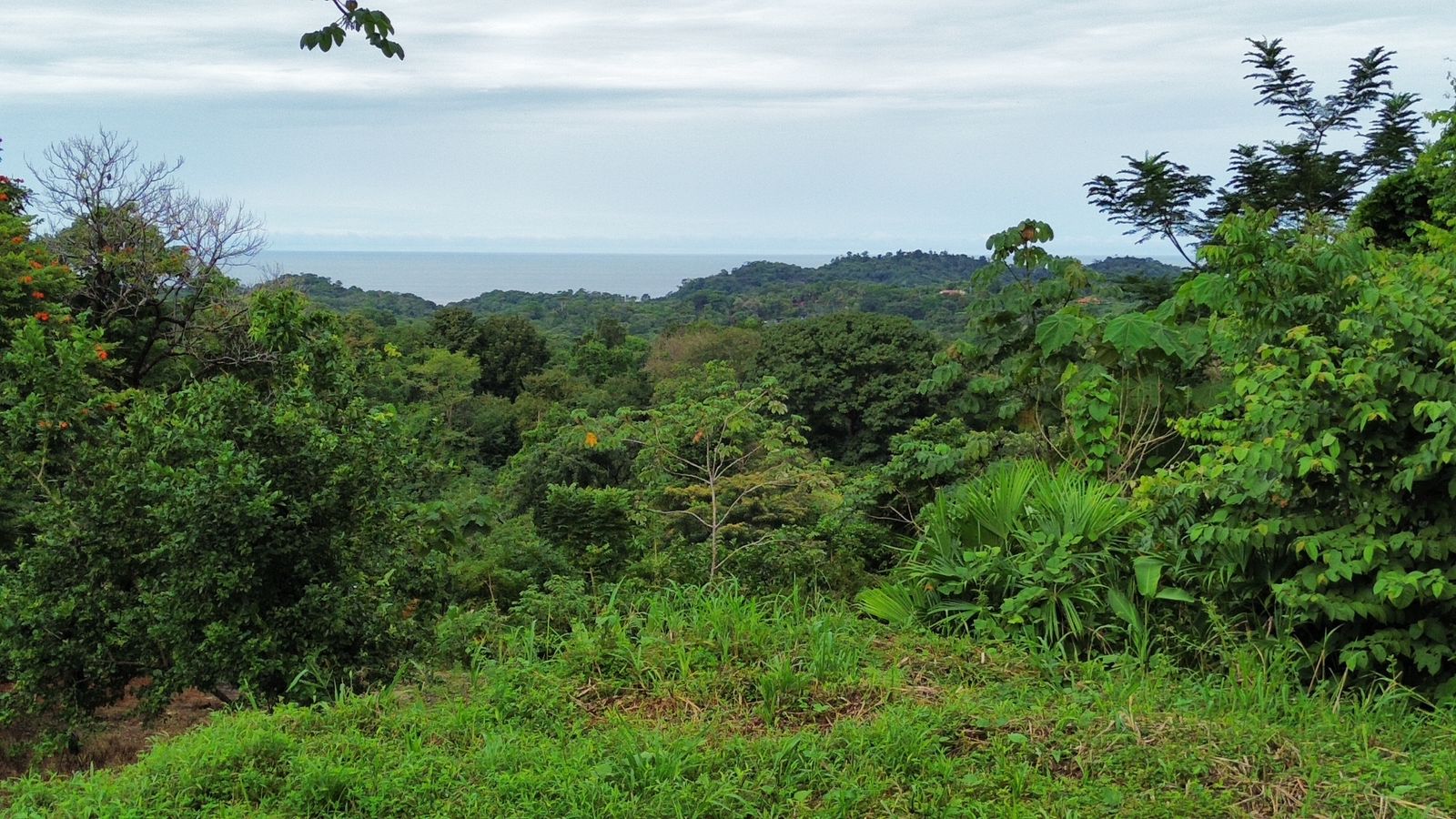 0 bed Land For Sale in Ojochal, Puntarenas - thumb 15