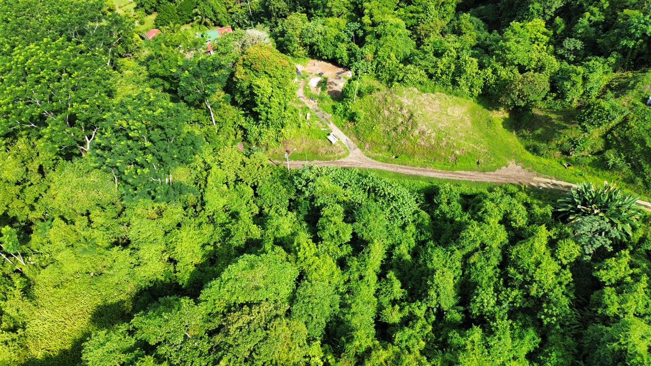 0 bed Land For Sale in Ojochal, Puntarenas - thumb 11