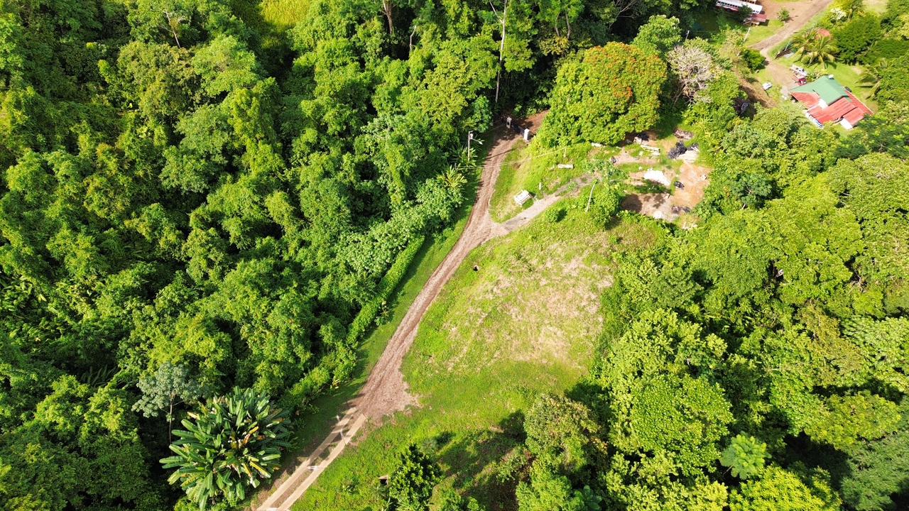 0 bed Land For Sale in Ojochal, Puntarenas - thumb 9