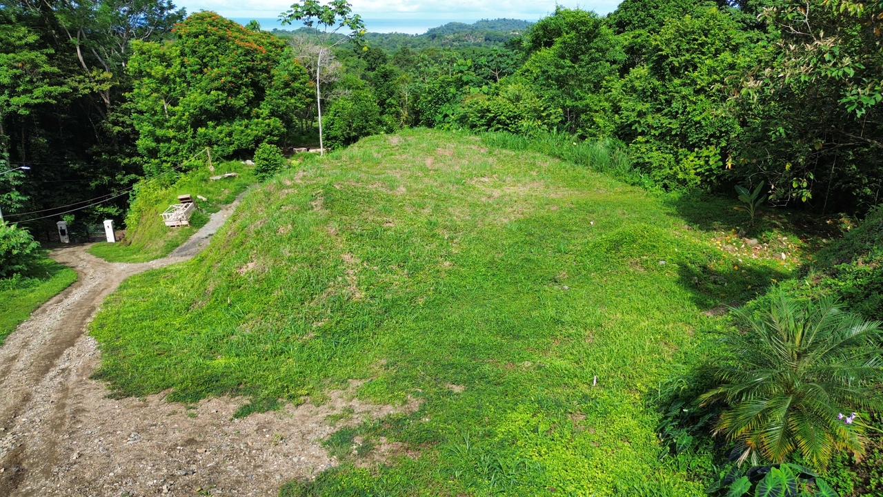 0 bed Land For Sale in Ojochal, Puntarenas - thumb 16