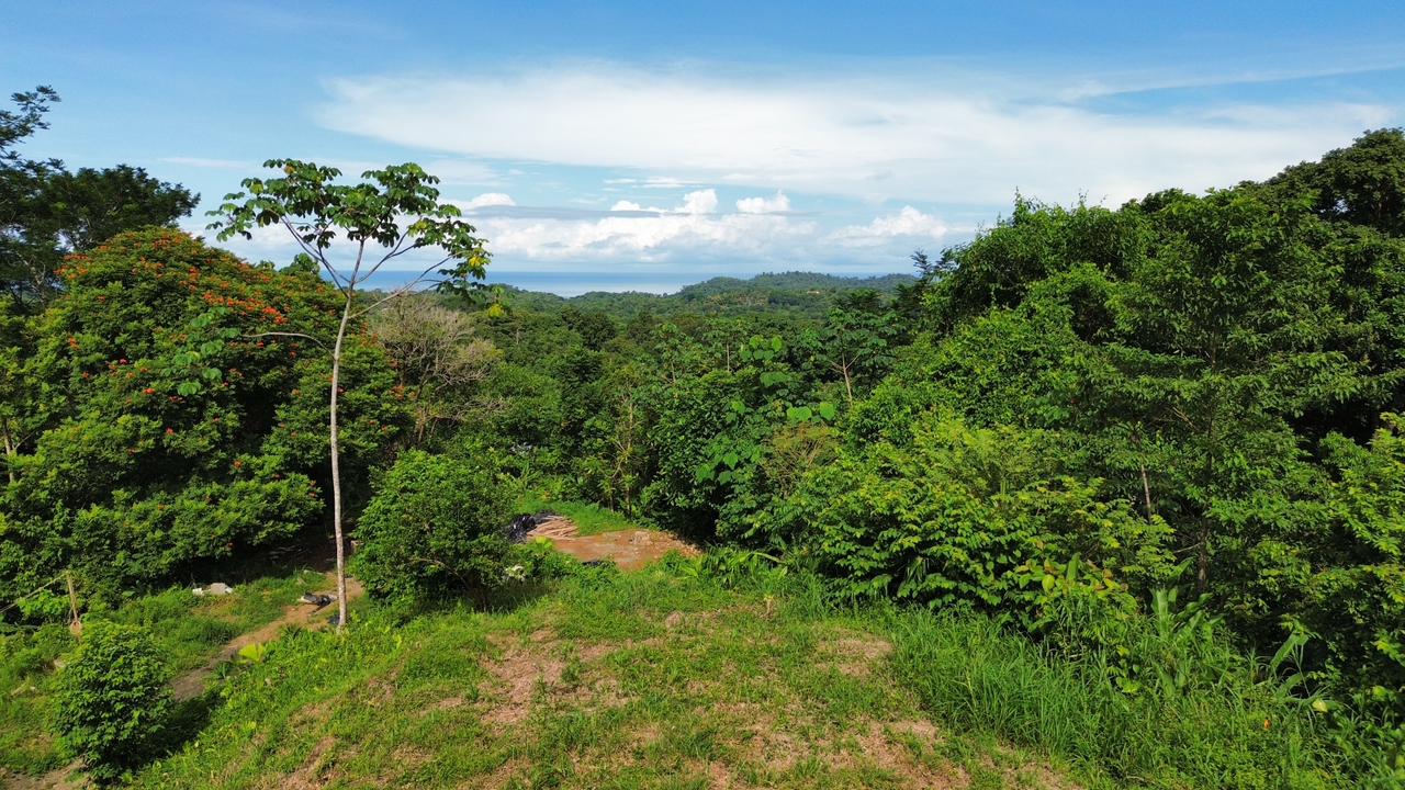 0 bed Land For Sale in Ojochal, Puntarenas - thumb 2