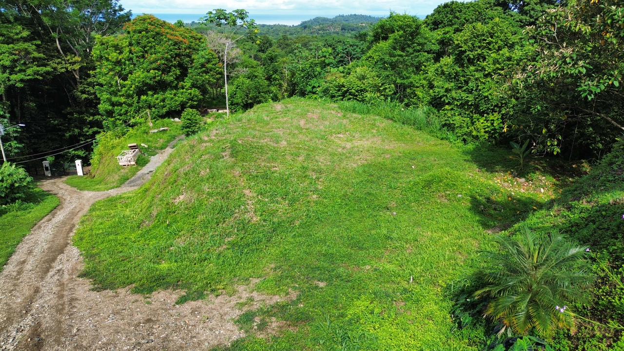 0 bed Land For Sale in Ojochal, Puntarenas - thumb 6