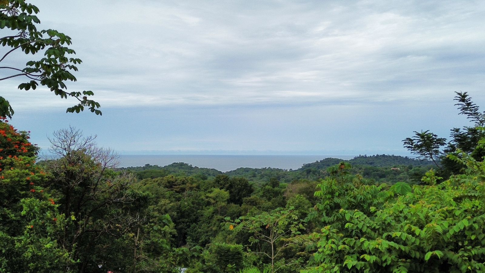 0 bed Land For Sale in Ojochal, Puntarenas - thumb 1