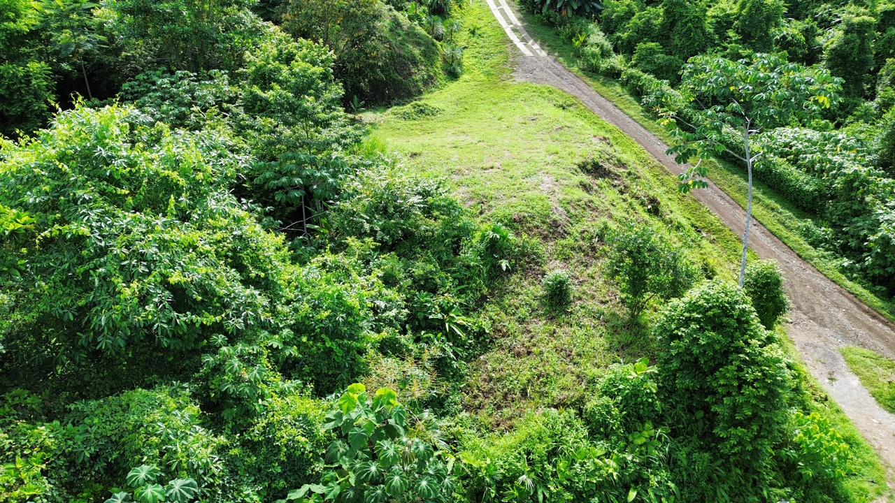 0 bed Land For Sale in Ojochal, Puntarenas - thumb 20