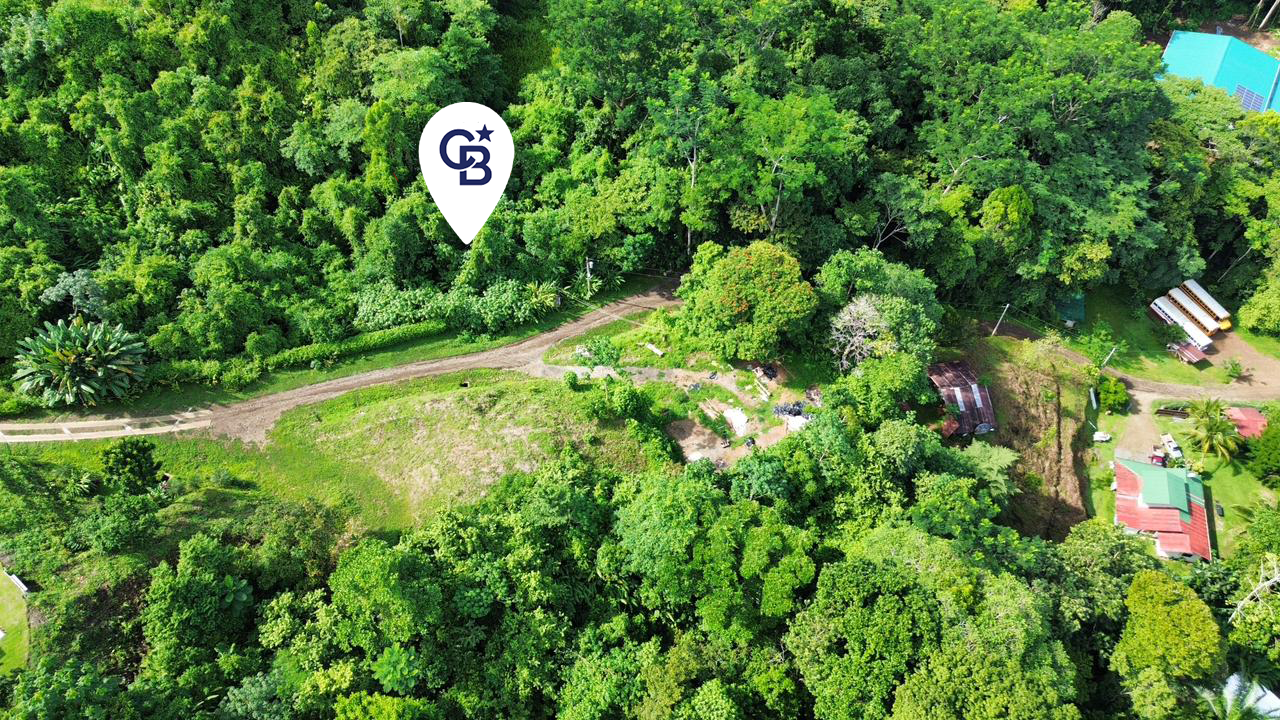 0 bed Land For Sale in Ojochal, Puntarenas - thumb 12