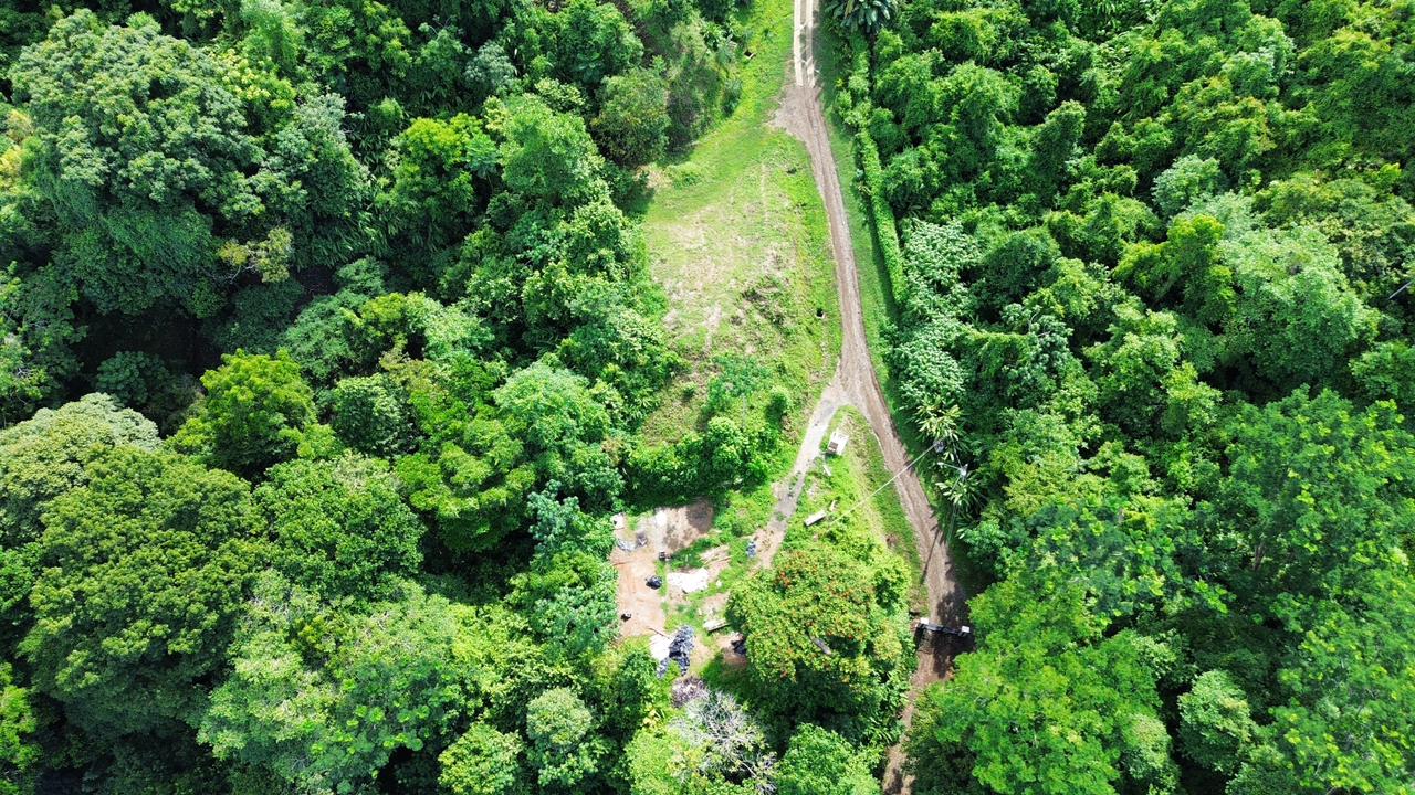 0 bed Land For Sale in Ojochal, Puntarenas - thumb 22