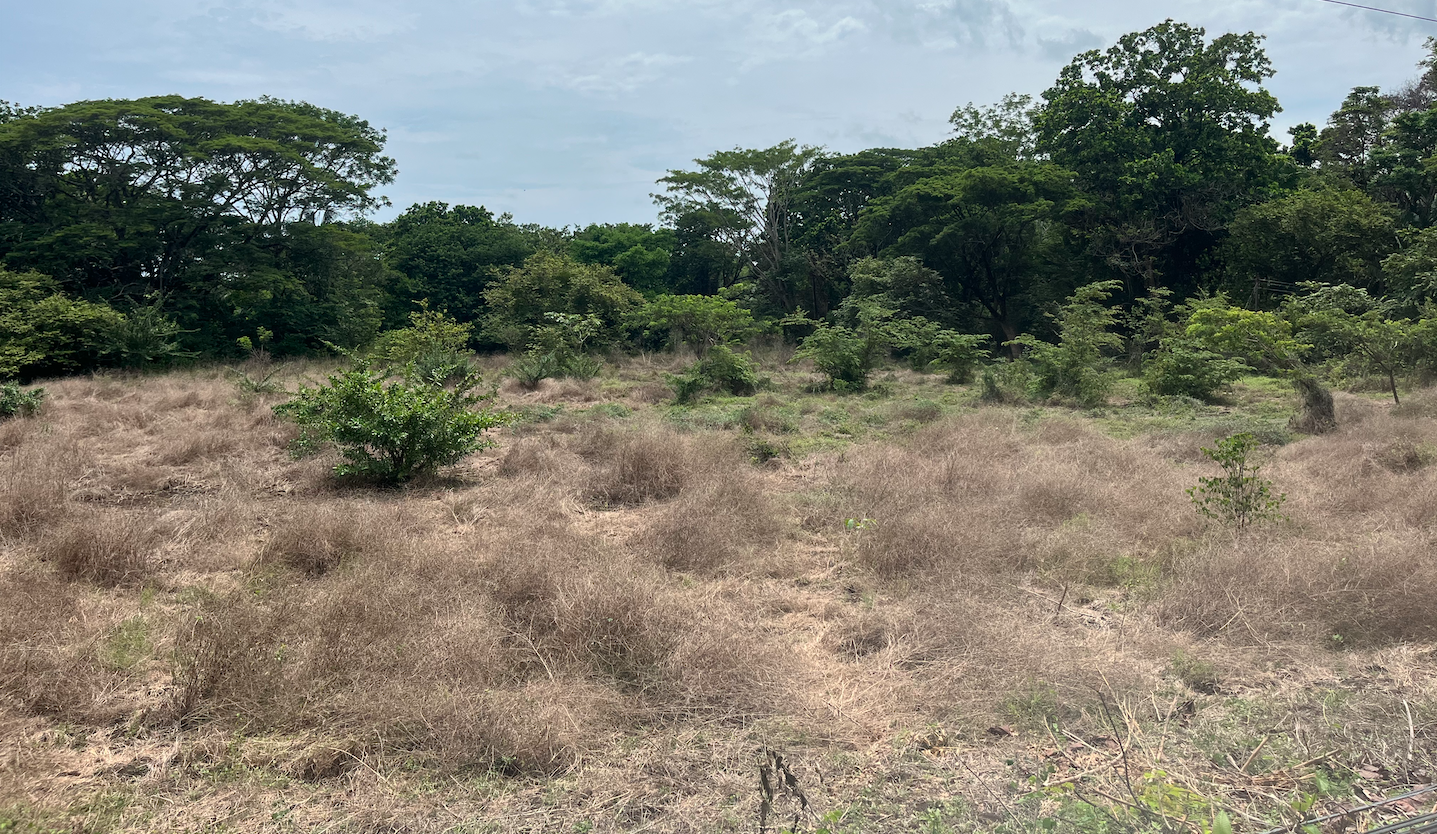 0 bed Land For Sale in Samara, Guanacaste - thumb 16