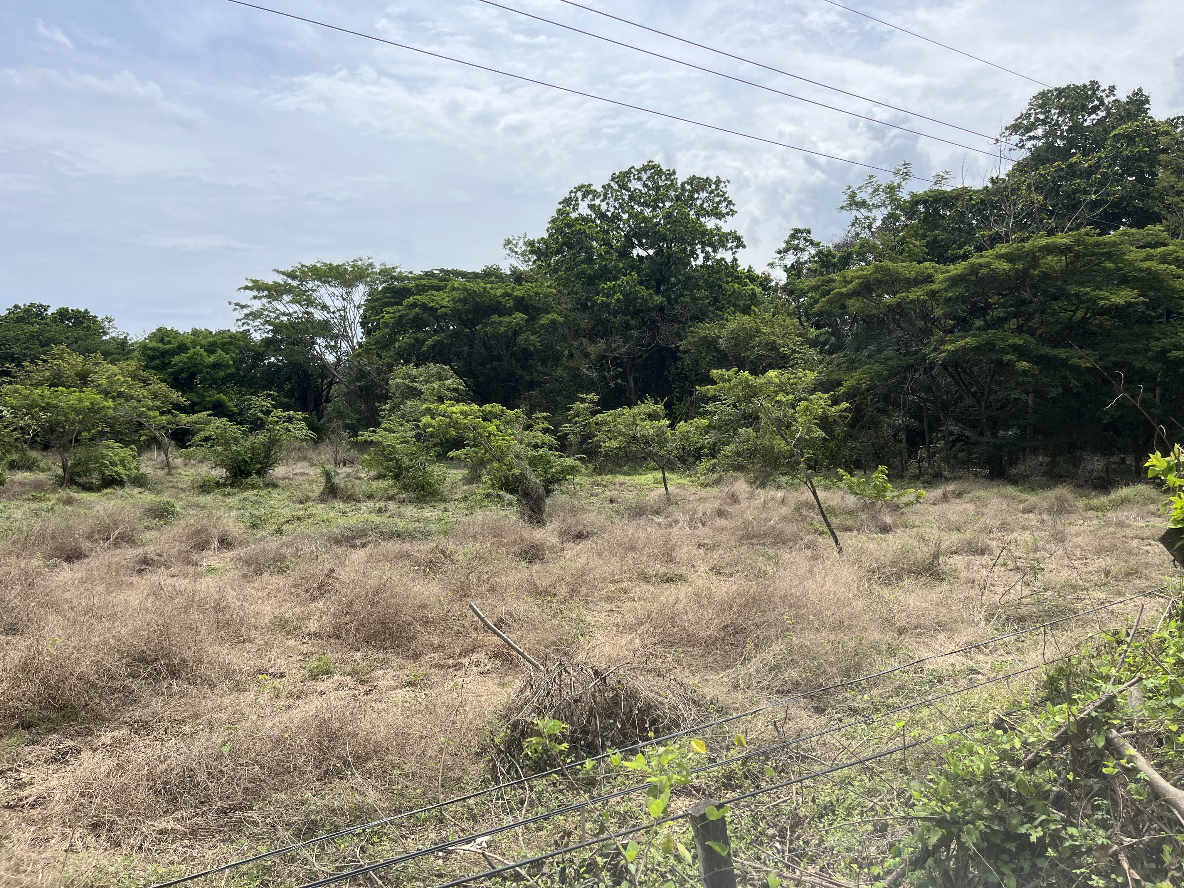 0 bed Land For Sale in Samara, Guanacaste - thumb 9