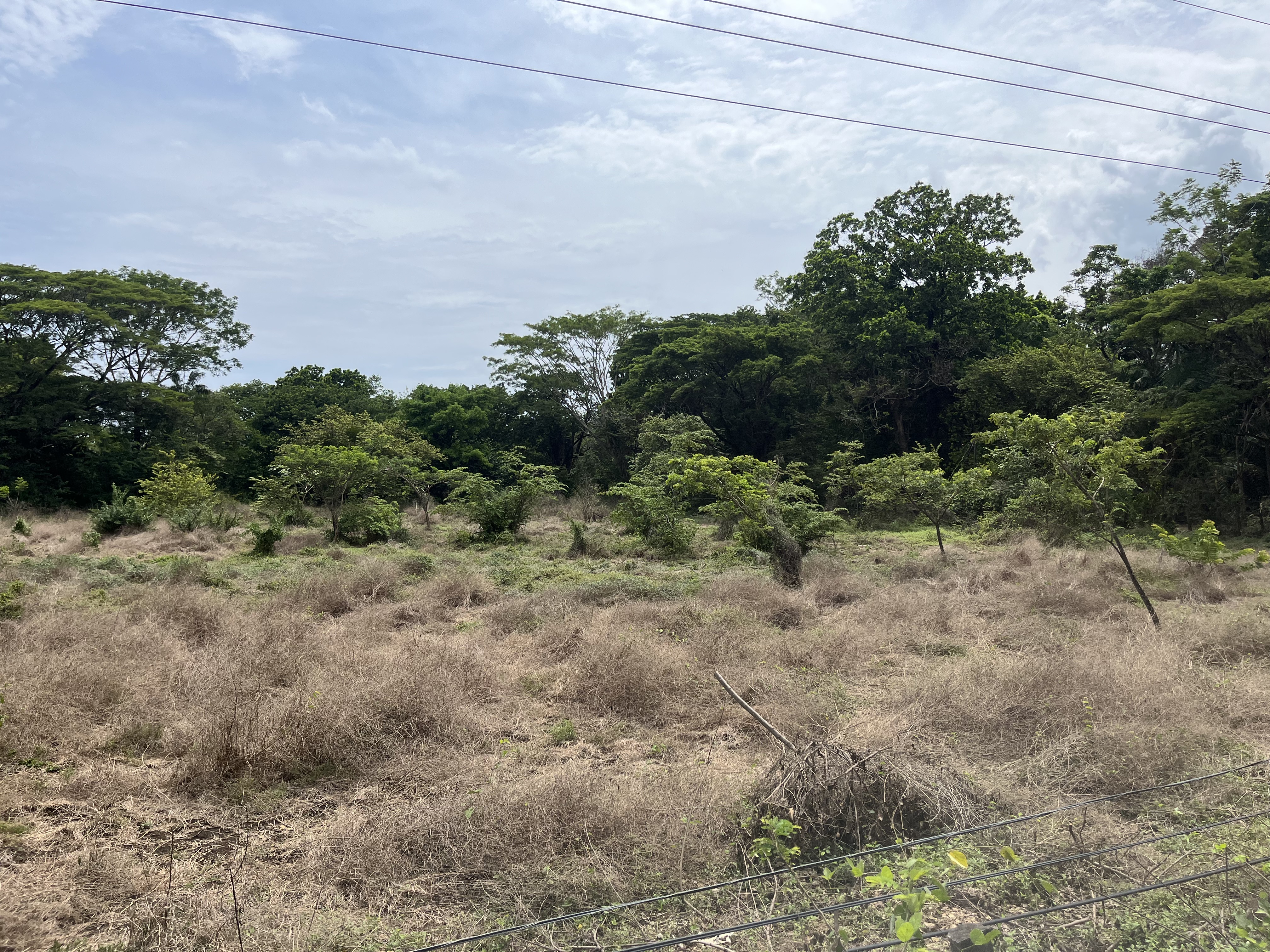 0 bed Land For Sale in Samara, Guanacaste - thumb 11