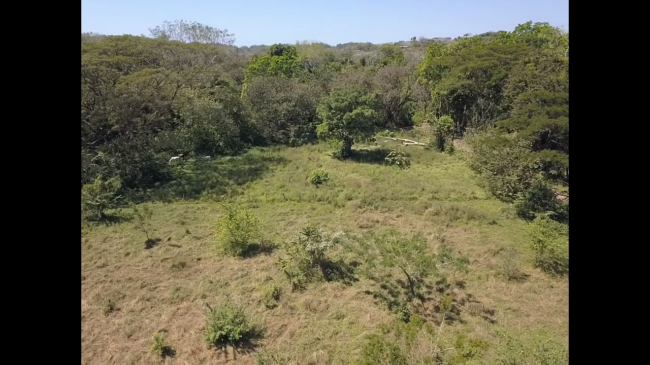 0 bed Land For Sale in Samara, Guanacaste - thumb 24