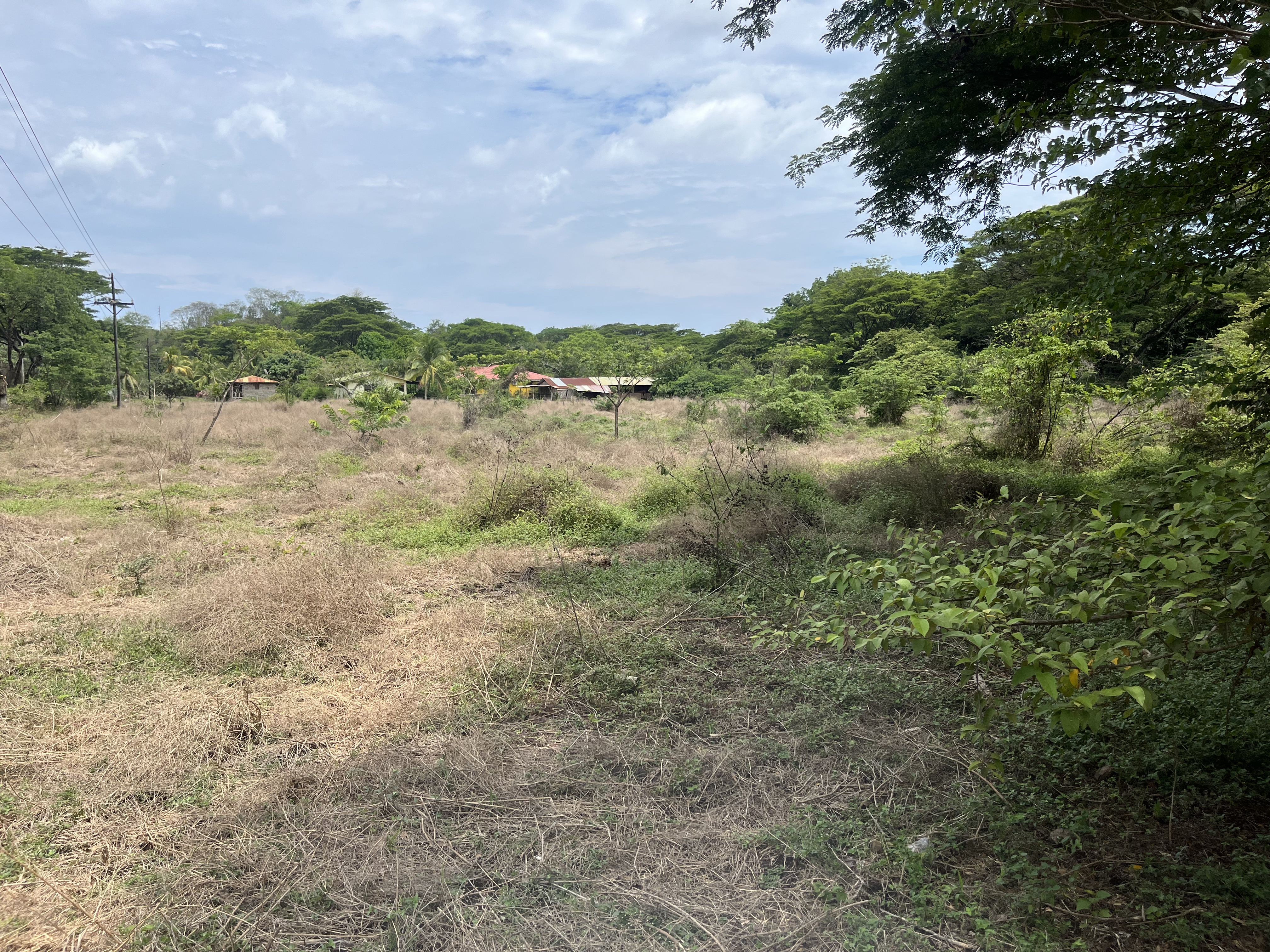0 bed Land For Sale in Samara, Guanacaste - thumb 4