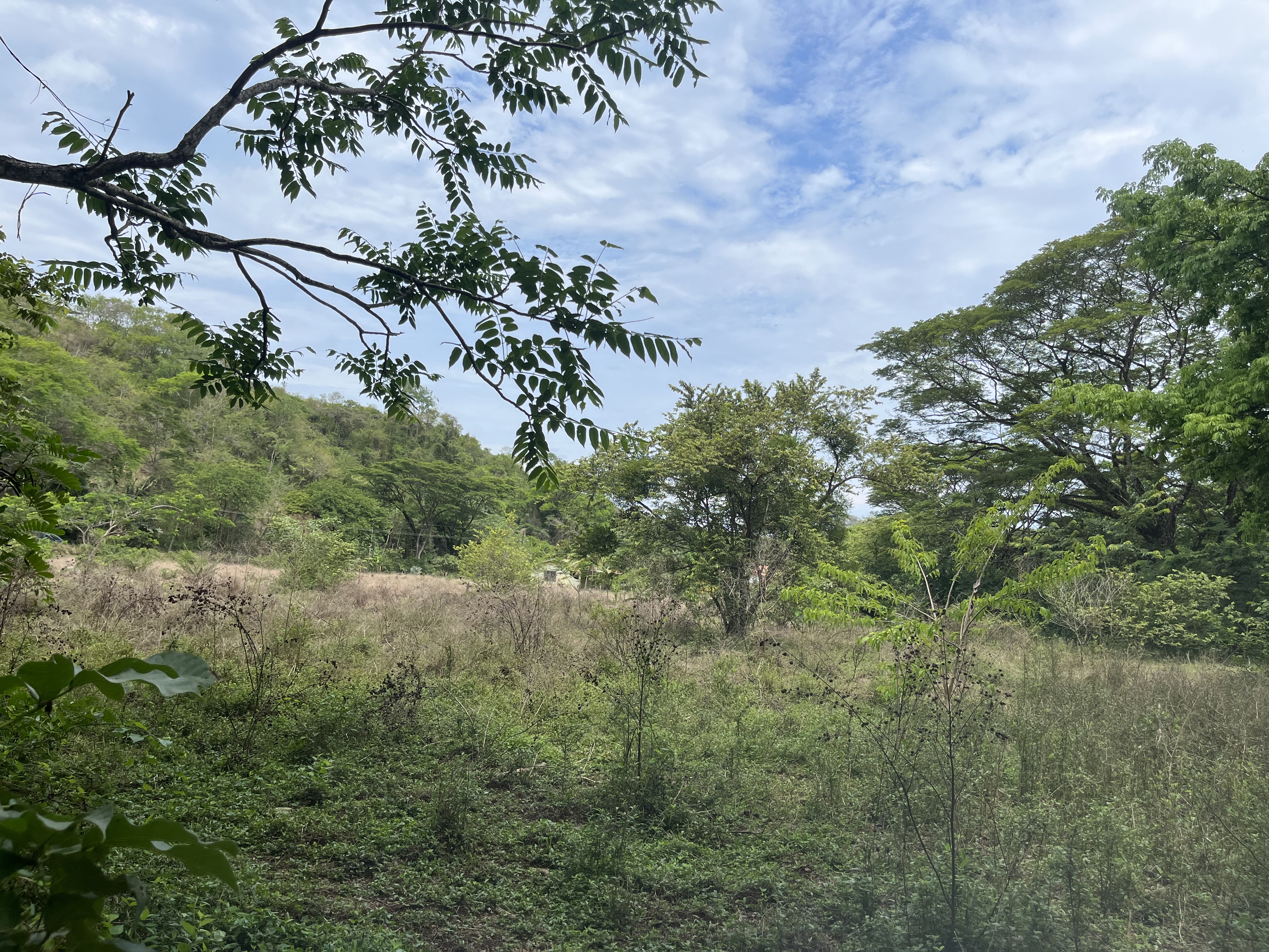 0 bed Land For Sale in Samara, Guanacaste - thumb 7