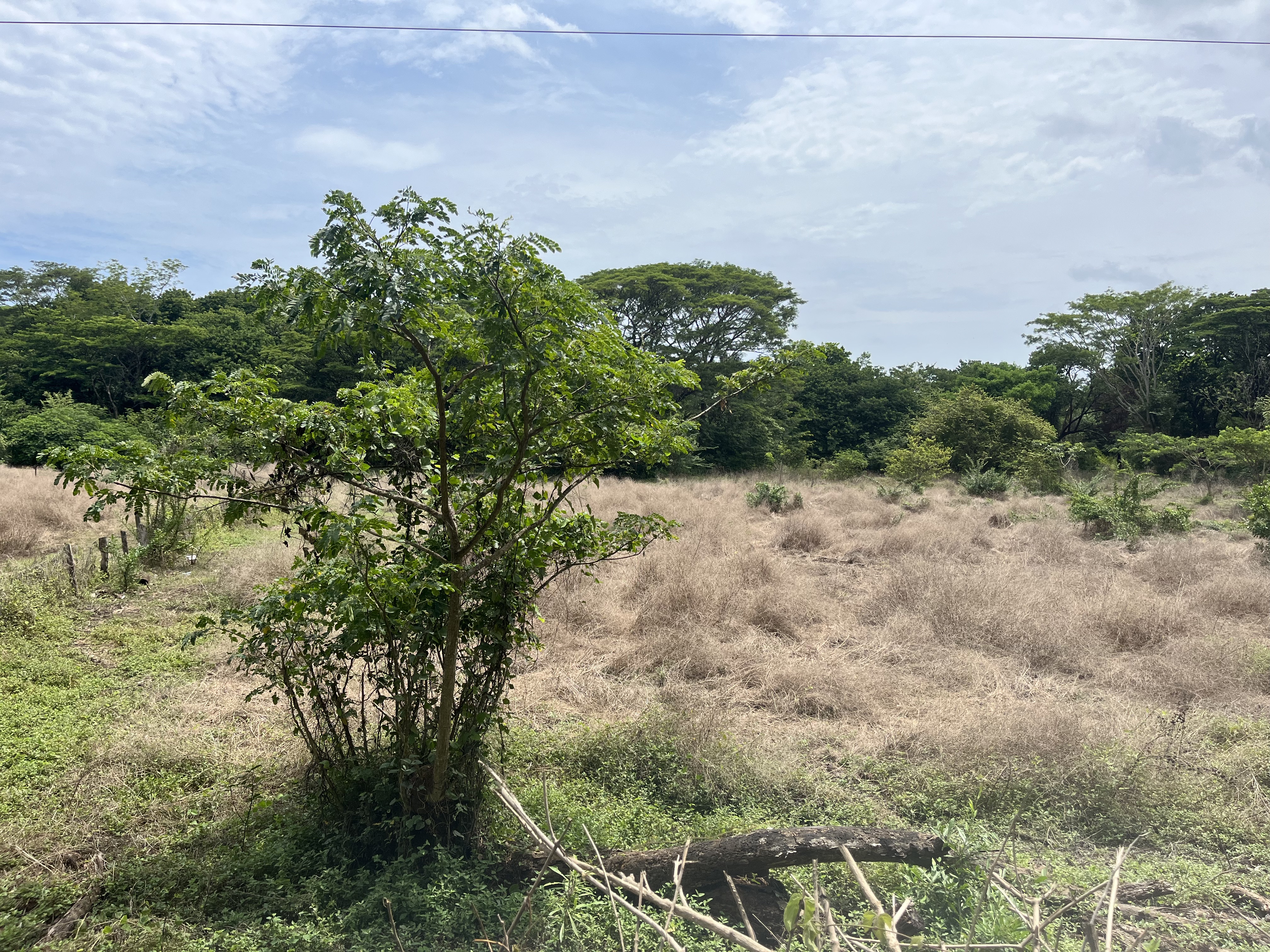 0 bed Land For Sale in Samara, Guanacaste - thumb 2
