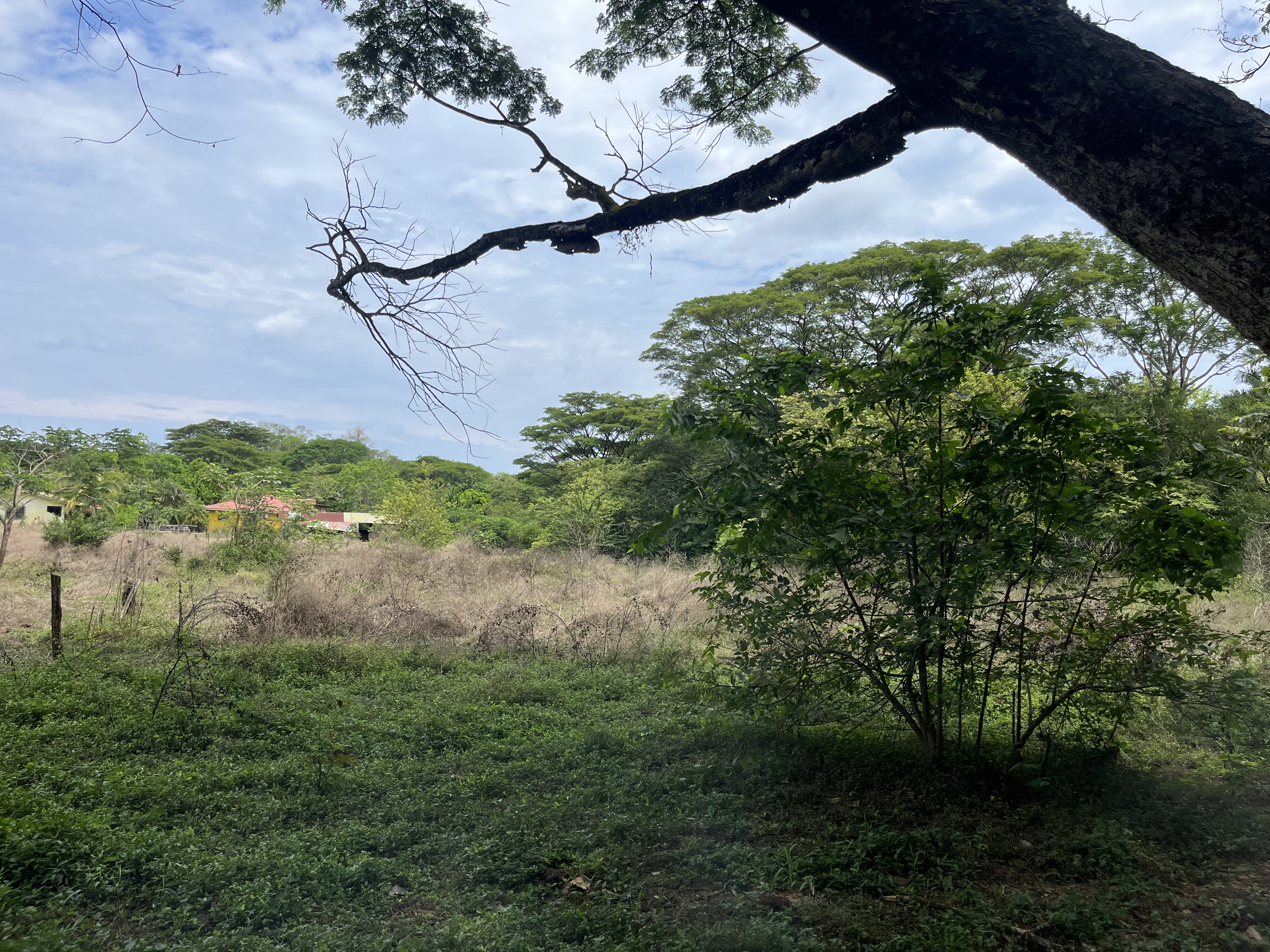 0 bed Land For Sale in Samara, Guanacaste - thumb 6