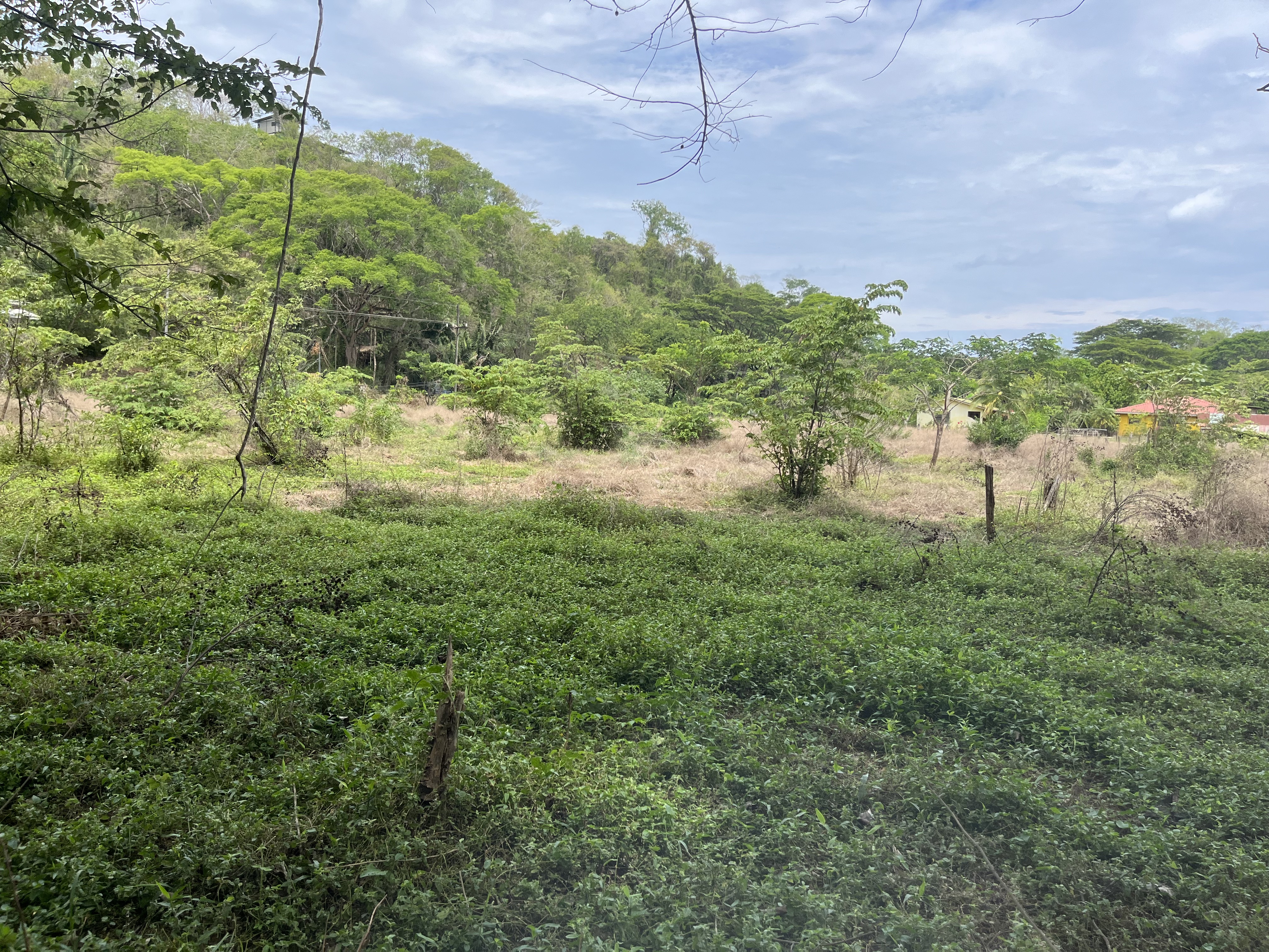 0 bed Land For Sale in Samara, Guanacaste - thumb 5