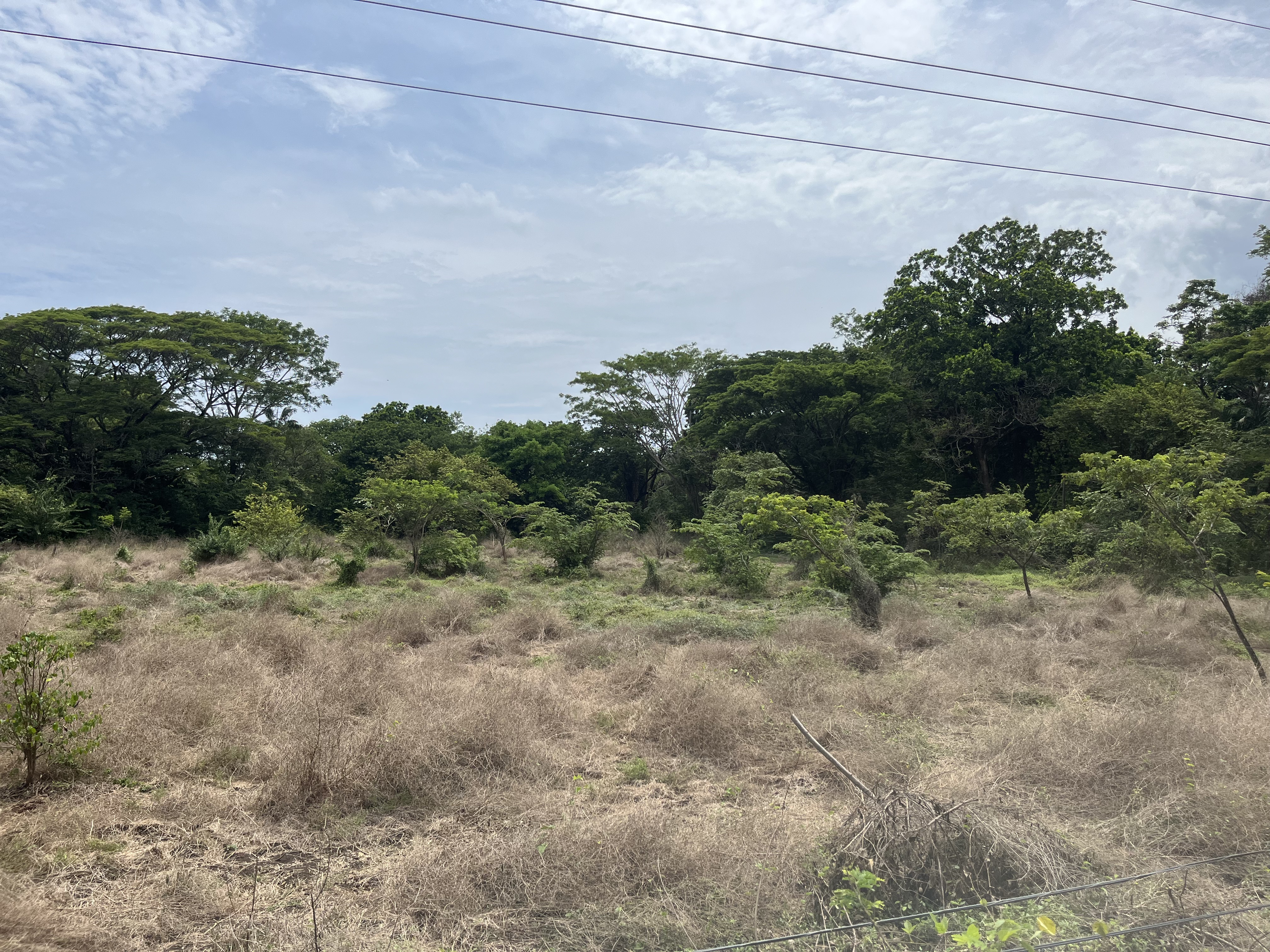 0 bed Land For Sale in Samara, Guanacaste - thumb 12