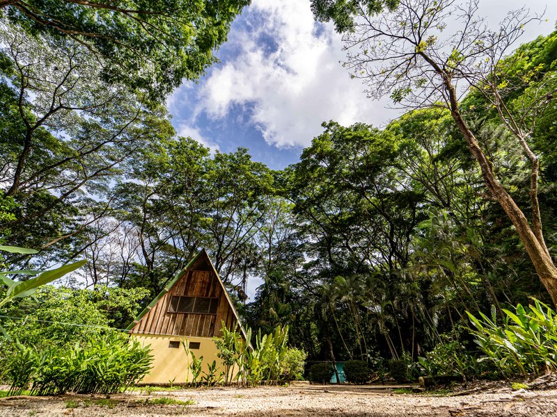 2 bed Single Family Homes For Sale in Samara, Guanacaste - 1