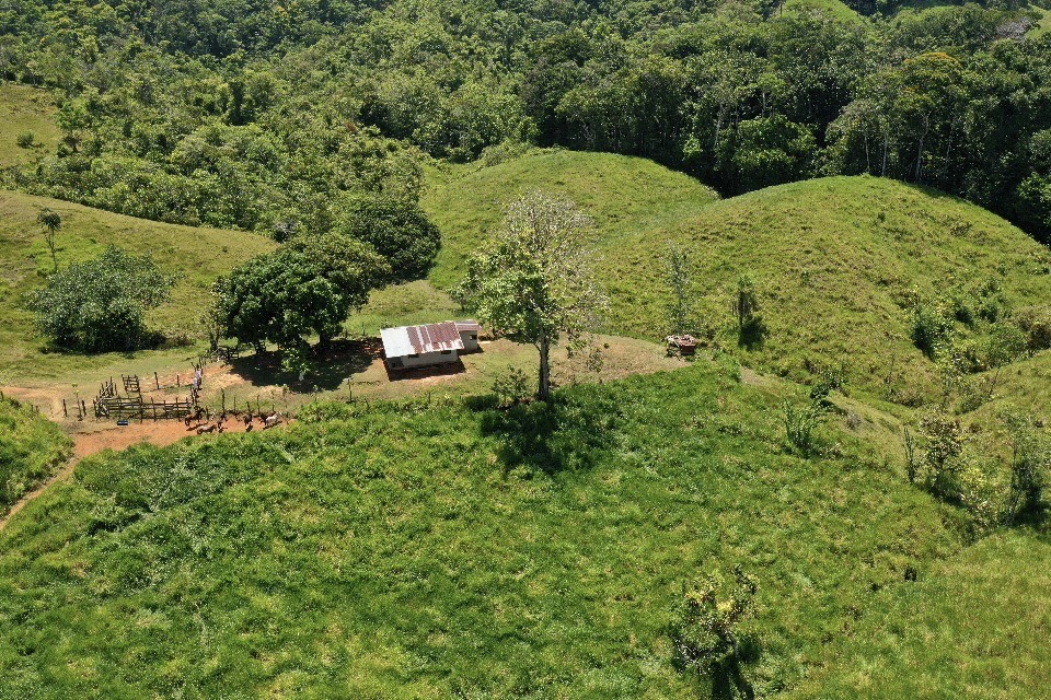 0 bed Land For Sale in Golfito, Puntarenas - thumb 10