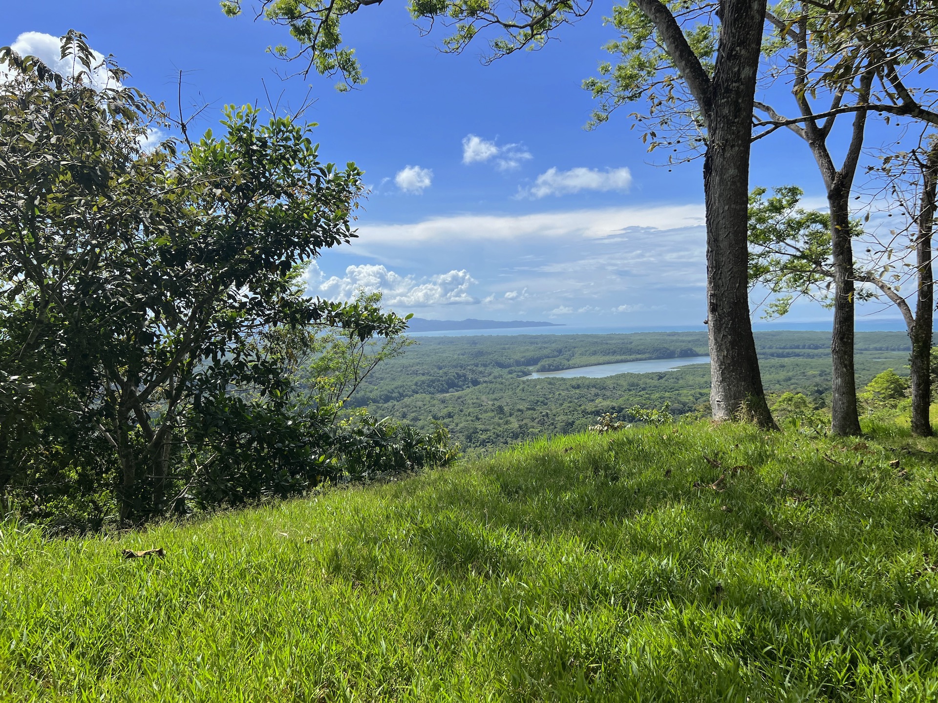 0 bed Land For Sale in Golfito, Puntarenas - thumb 17