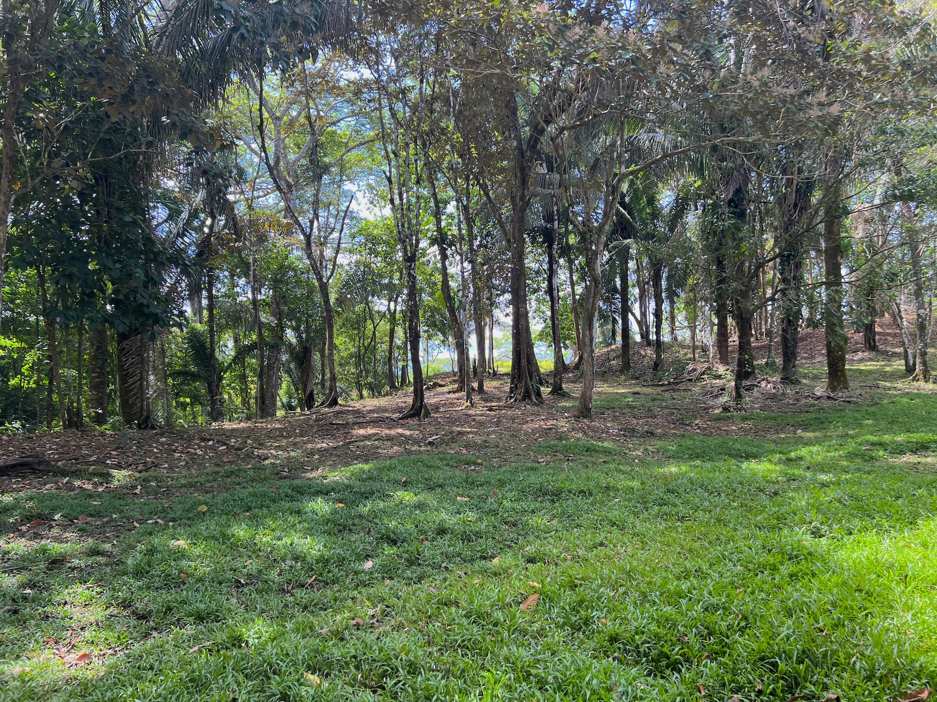 0 bed Land For Sale in Golfito, Puntarenas - thumb 15