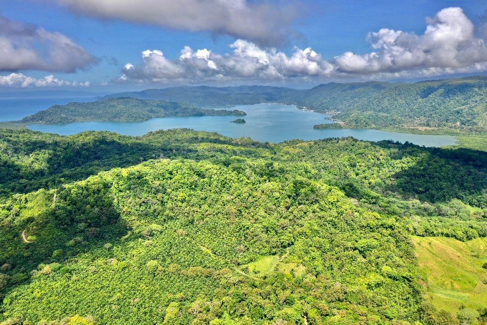 0 bed Land For Sale in Golfito, Puntarenas - thumb 2