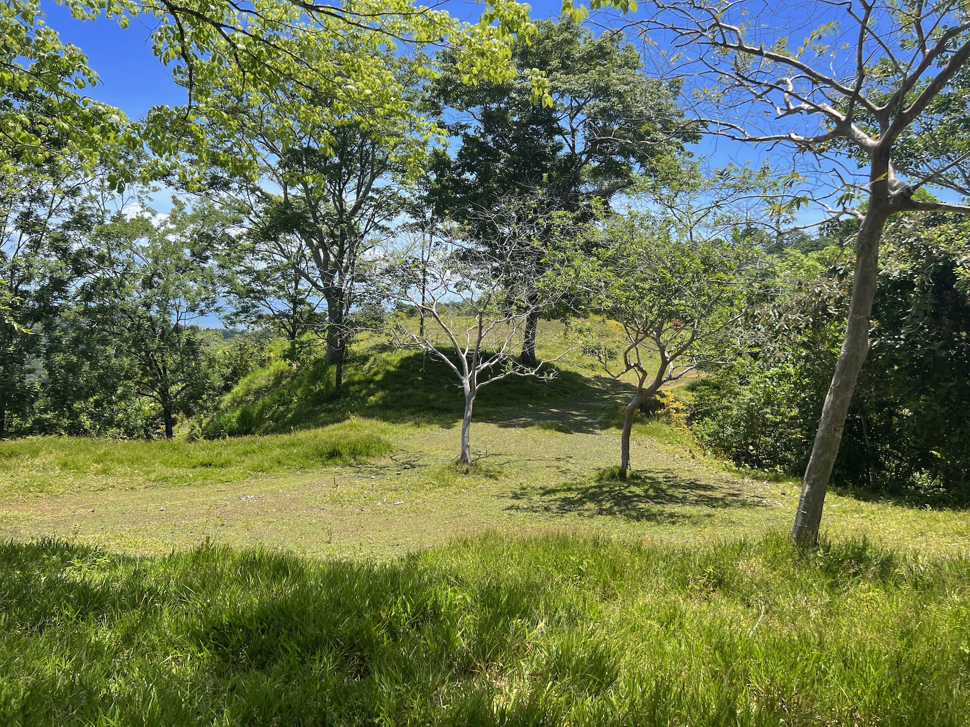 0 bed Land For Sale in Golfito, Puntarenas - thumb 8