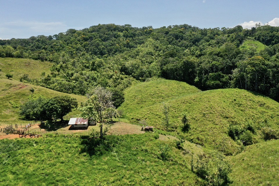 0 bed Land For Sale in Golfito, Puntarenas - thumb 11