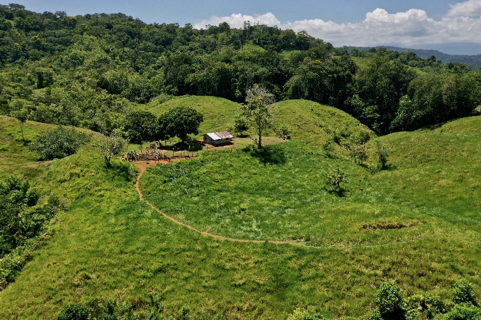 0 bed Land For Sale in Golfito, Puntarenas - thumb 9