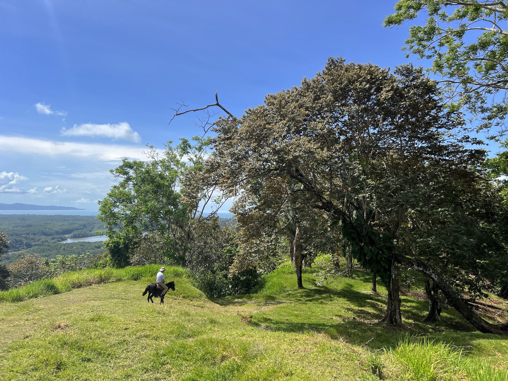 0 bed Land For Sale in Golfito, Puntarenas - thumb 16