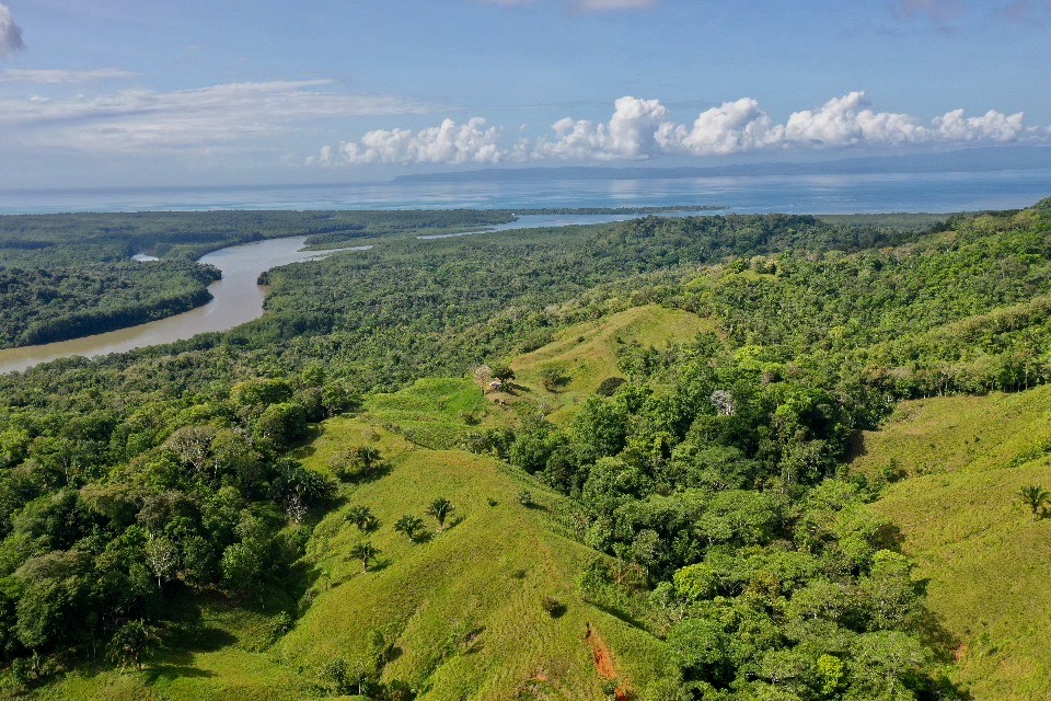 0 bed Land For Sale in Golfito, Puntarenas - thumb 5
