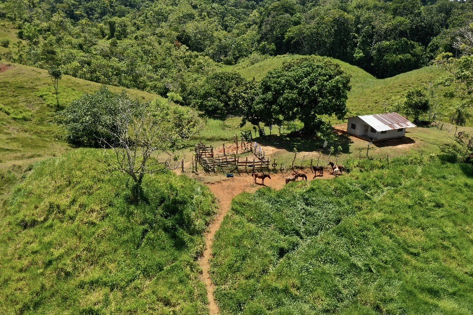 0 bed Land For Sale in Golfito, Puntarenas - thumb 13