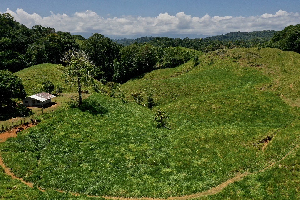 0 bed Land For Sale in Golfito, Puntarenas - thumb 14