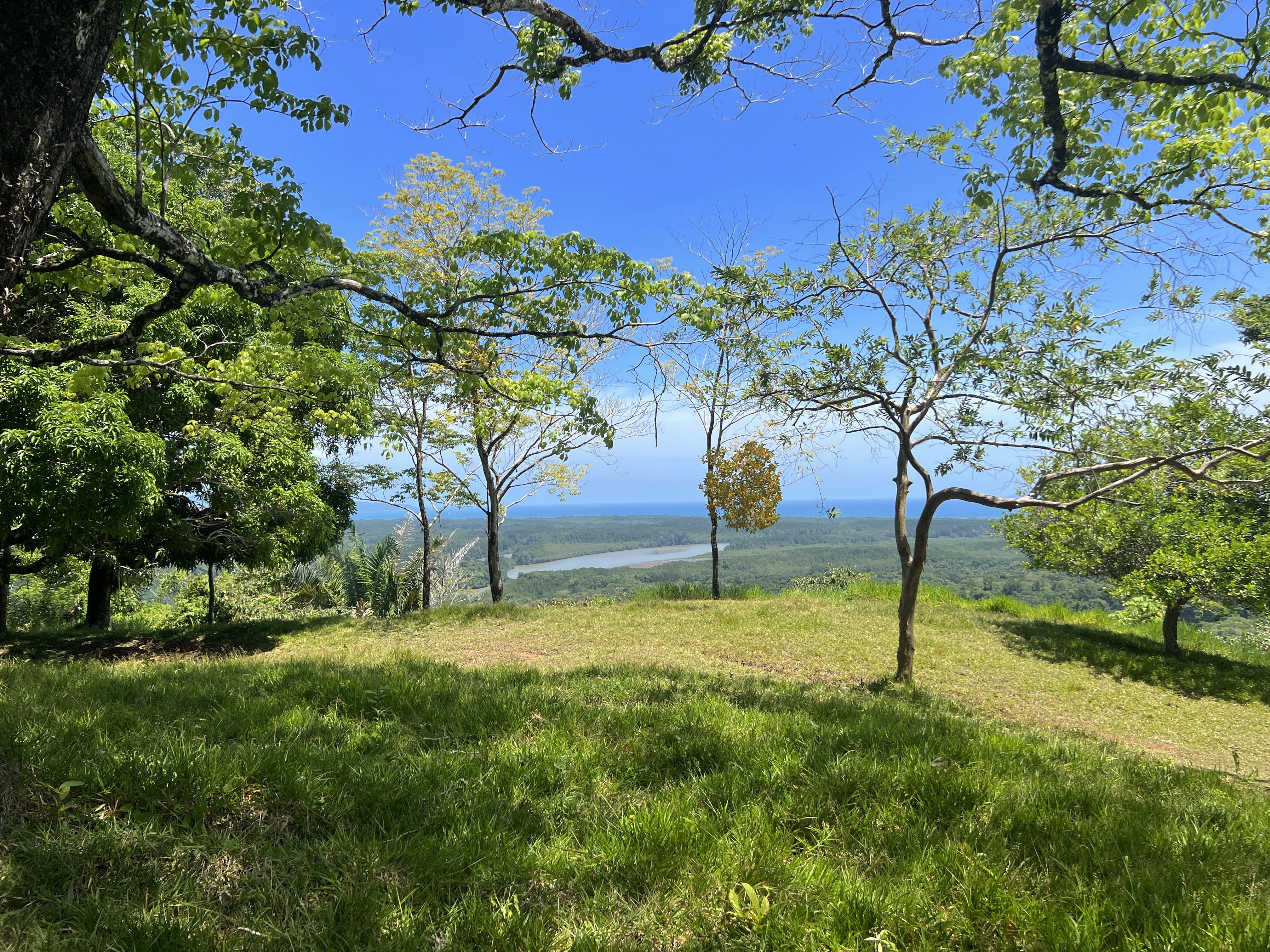 0 bed Land For Sale in Golfito, Puntarenas - thumb 7