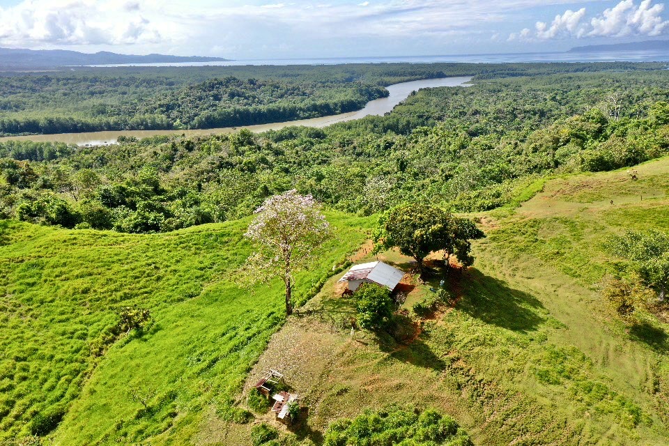 0 bed Land For Sale in Golfito, Puntarenas - thumb 4