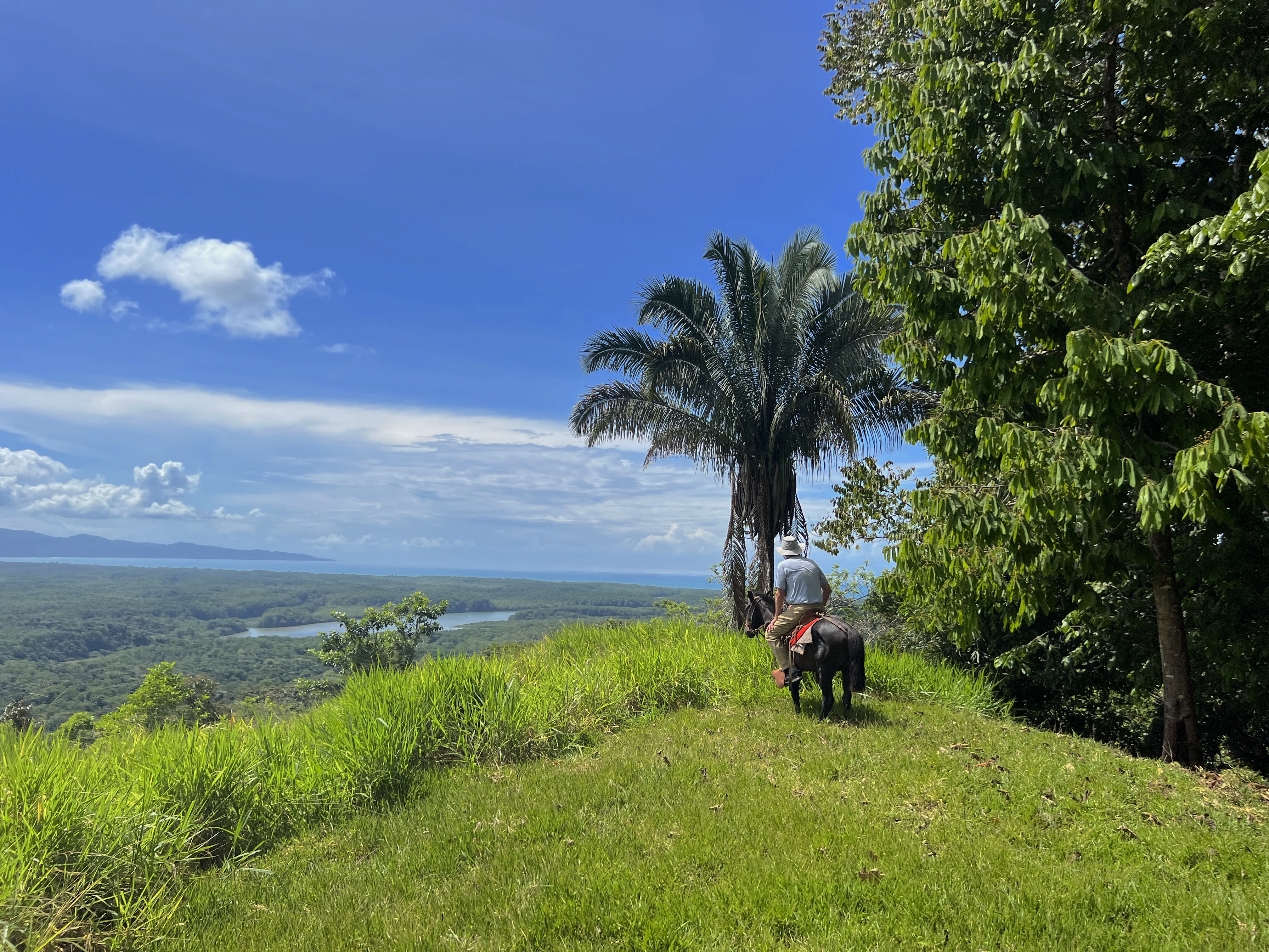 0 bed Land For Sale in Golfito, Puntarenas - thumb 1