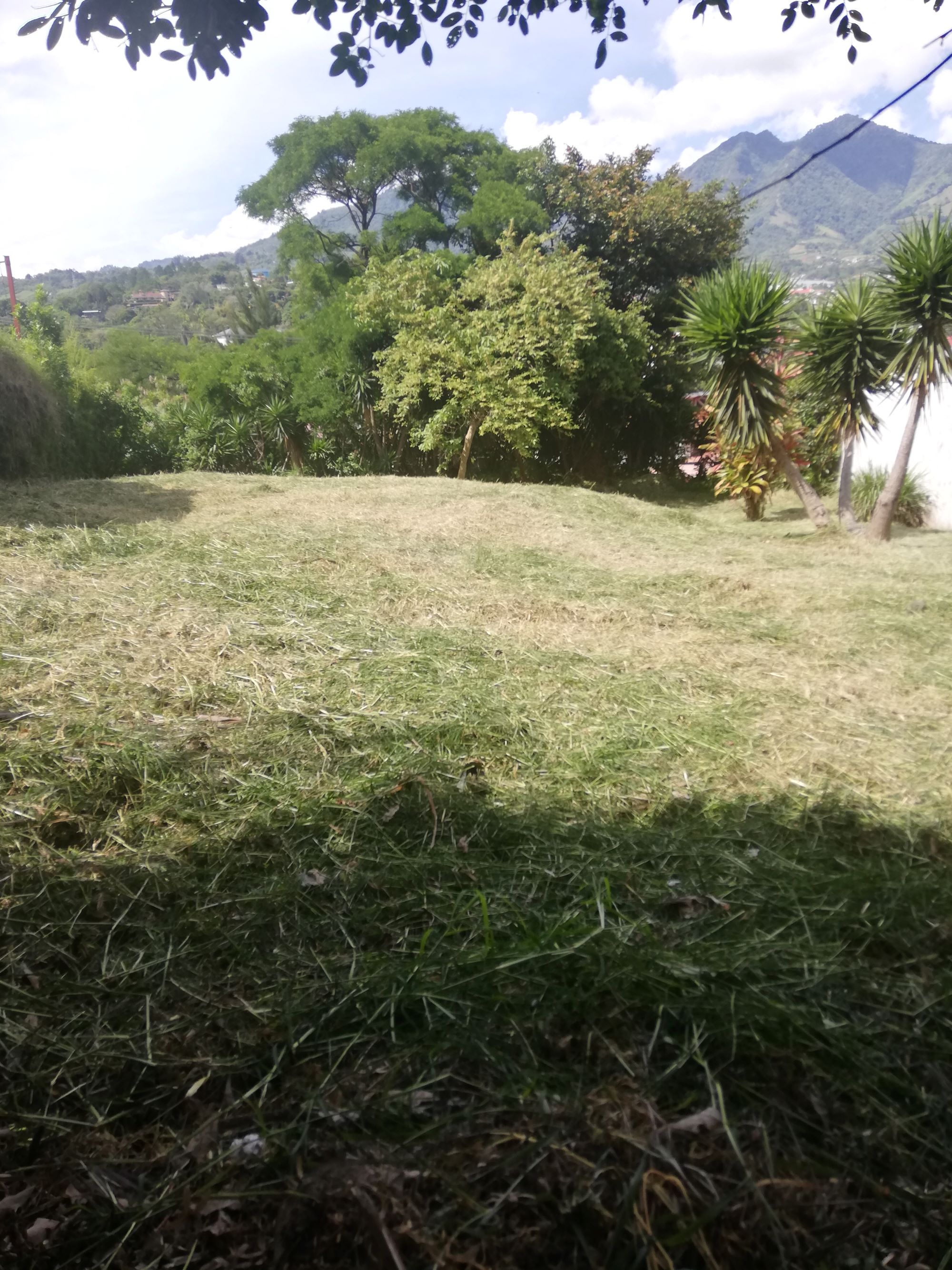 0 bed Land For Sale in Bello Horizonte, San Jose - thumb 4
