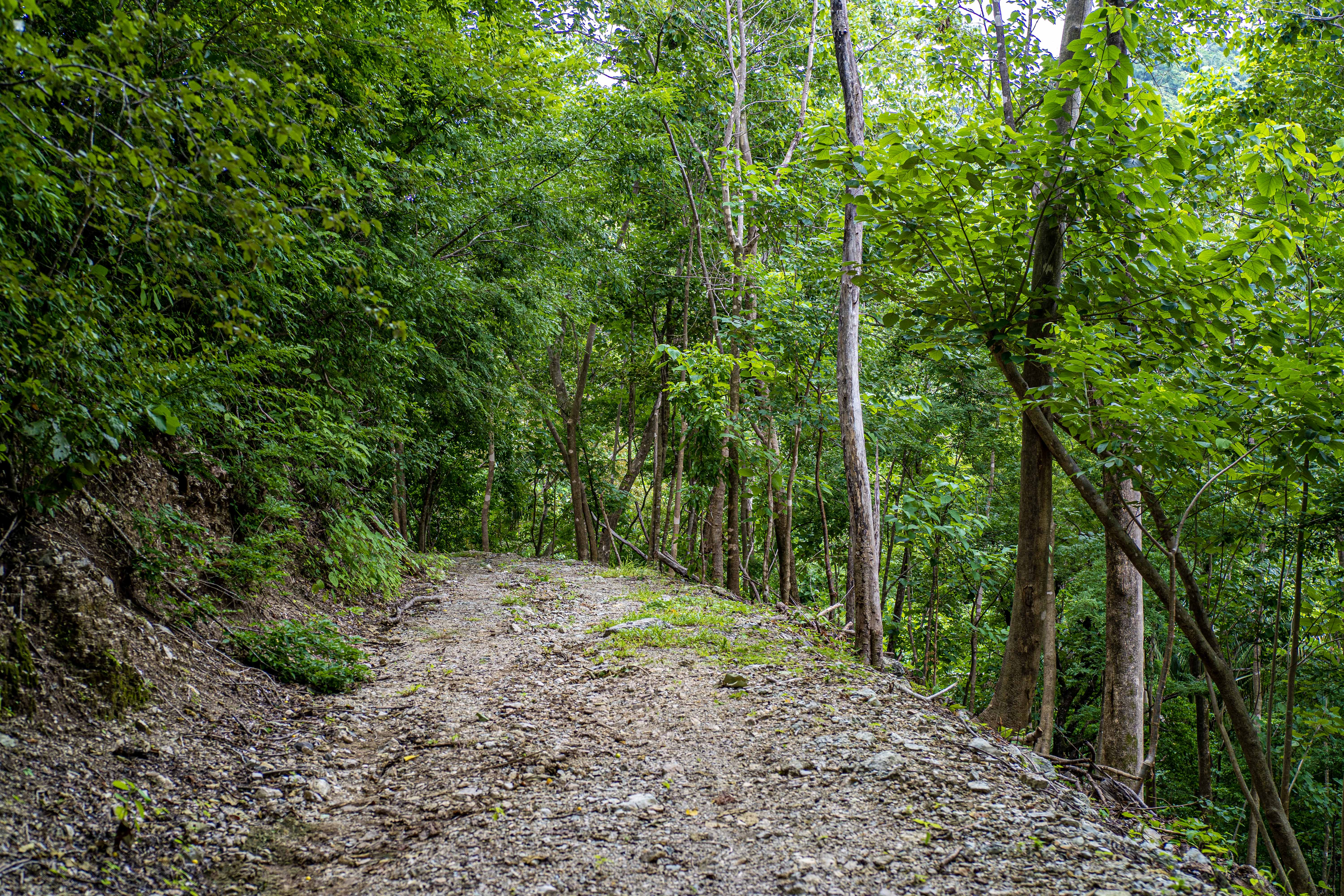 0 bed Land For Sale in Samara, Guanacaste - thumb 11