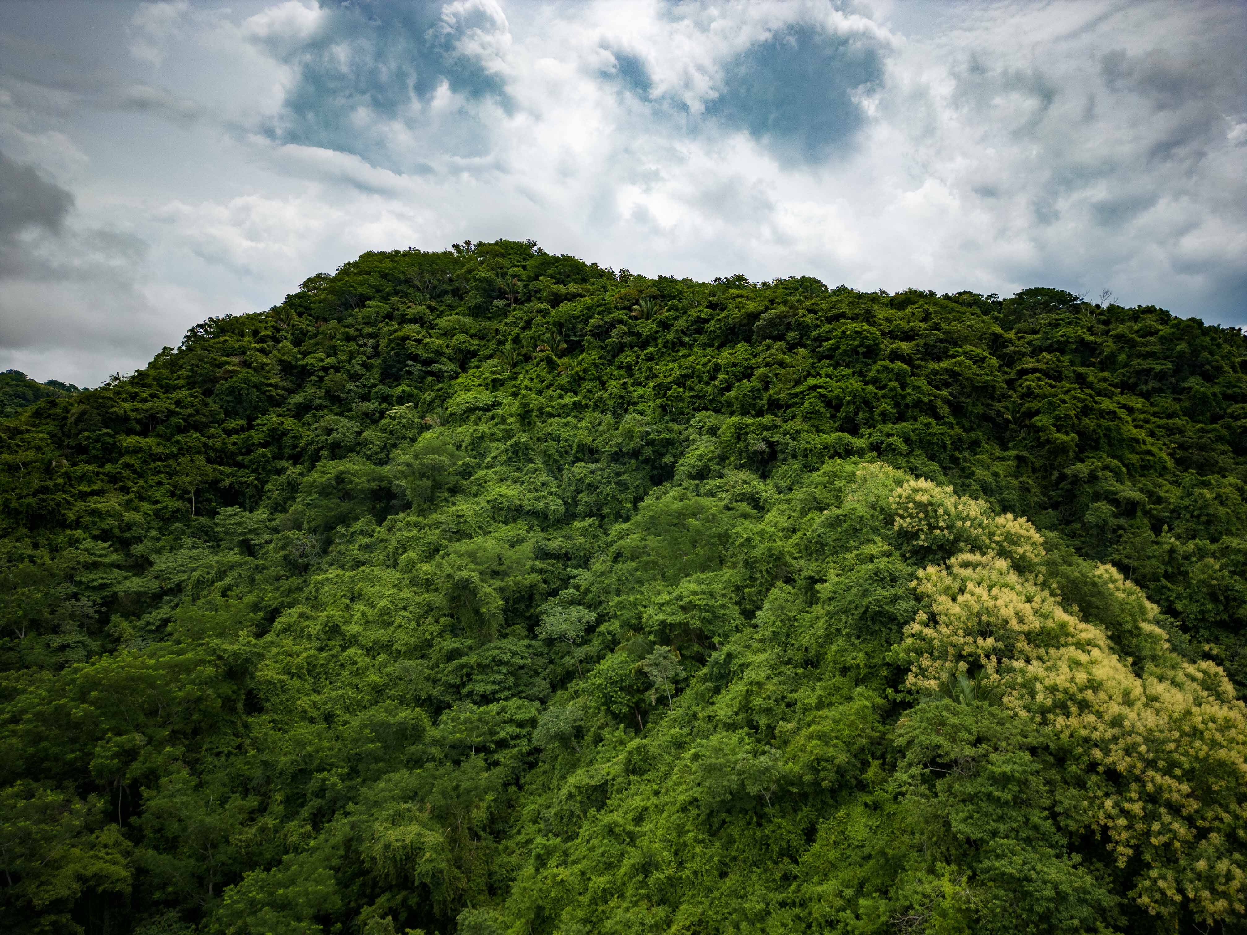 0 bed Land For Sale in Samara, Guanacaste - thumb 16