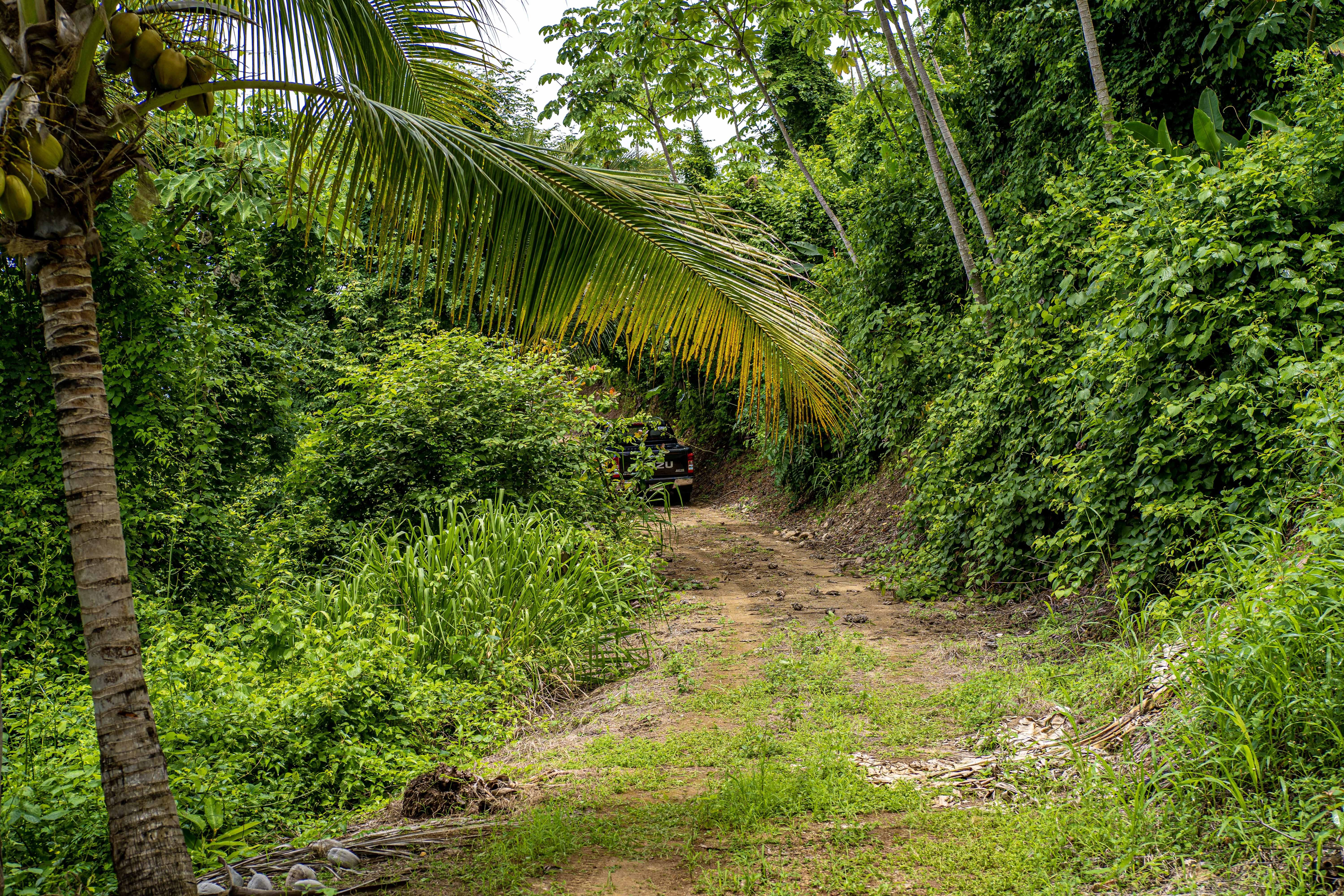 0 bed Land For Sale in Samara, Guanacaste - thumb 12