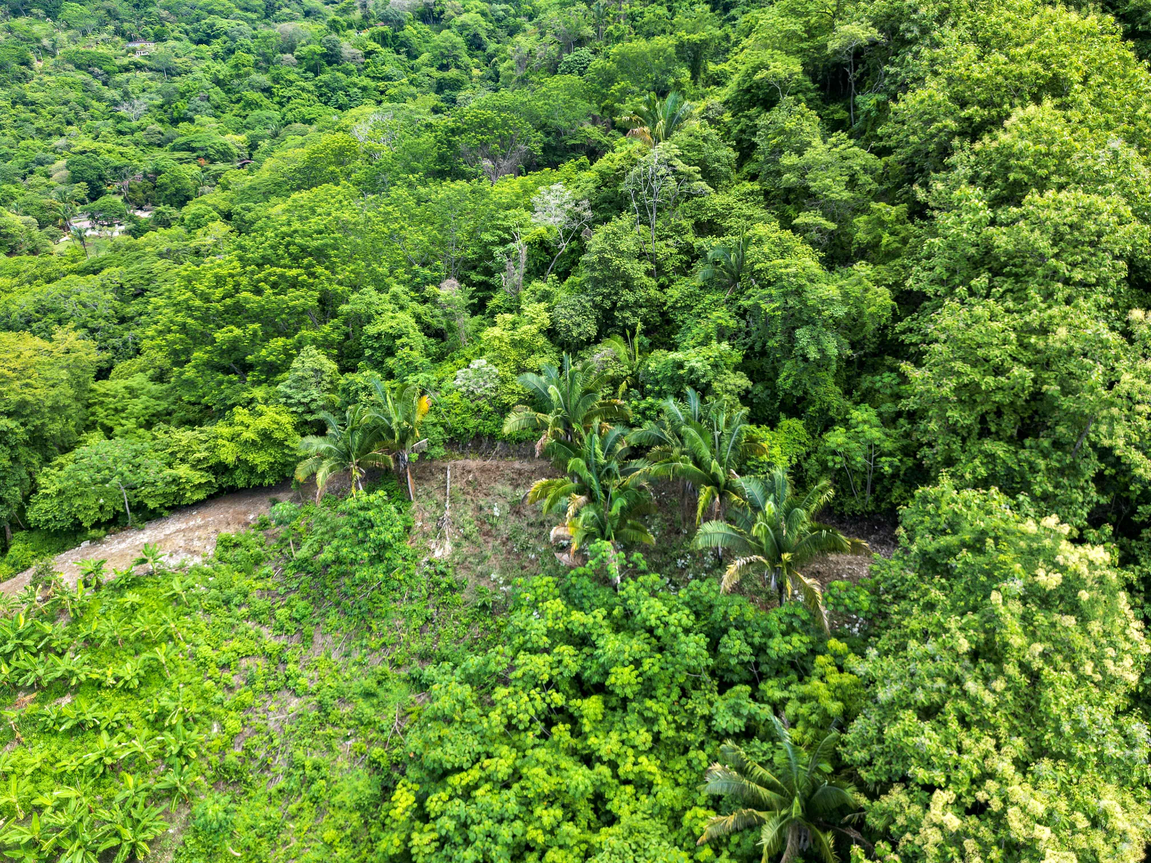0 bed Land For Sale in Samara, Guanacaste - thumb 9