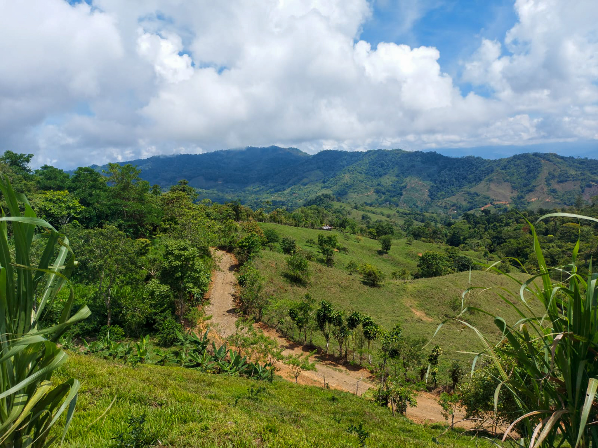 0 bed Land For Sale in Uvita, Puntarenas - thumb 10