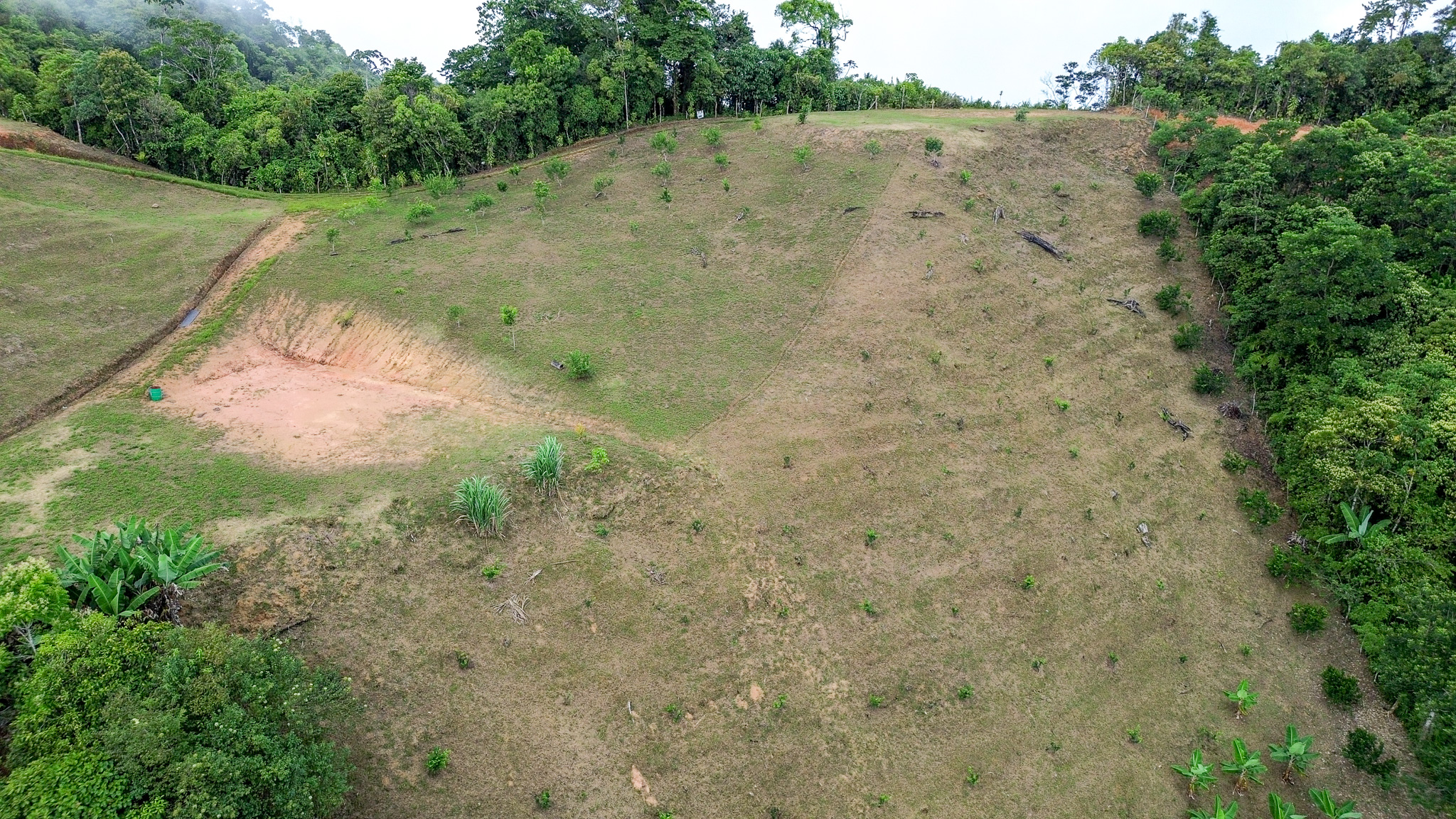 0 bed Land For Sale in Uvita, Puntarenas - thumb 11